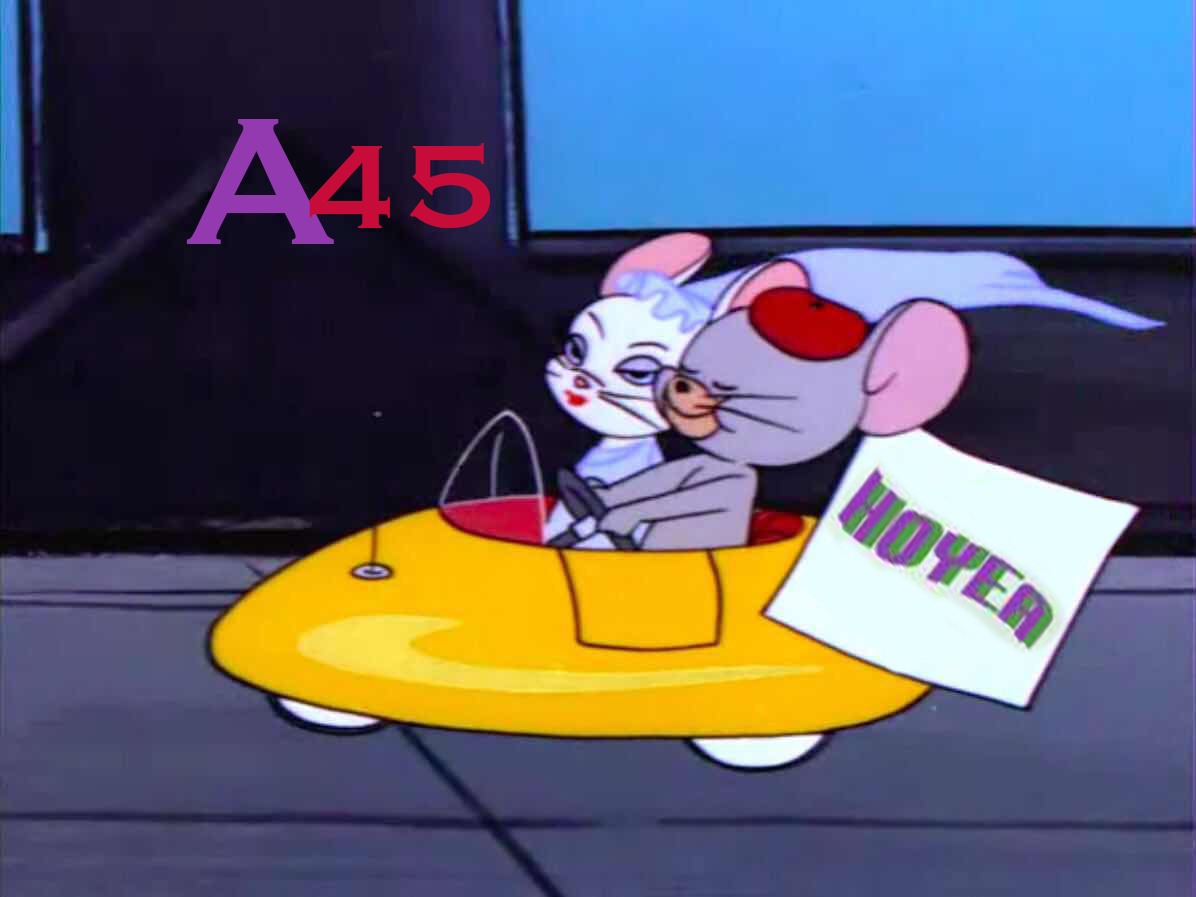 A45