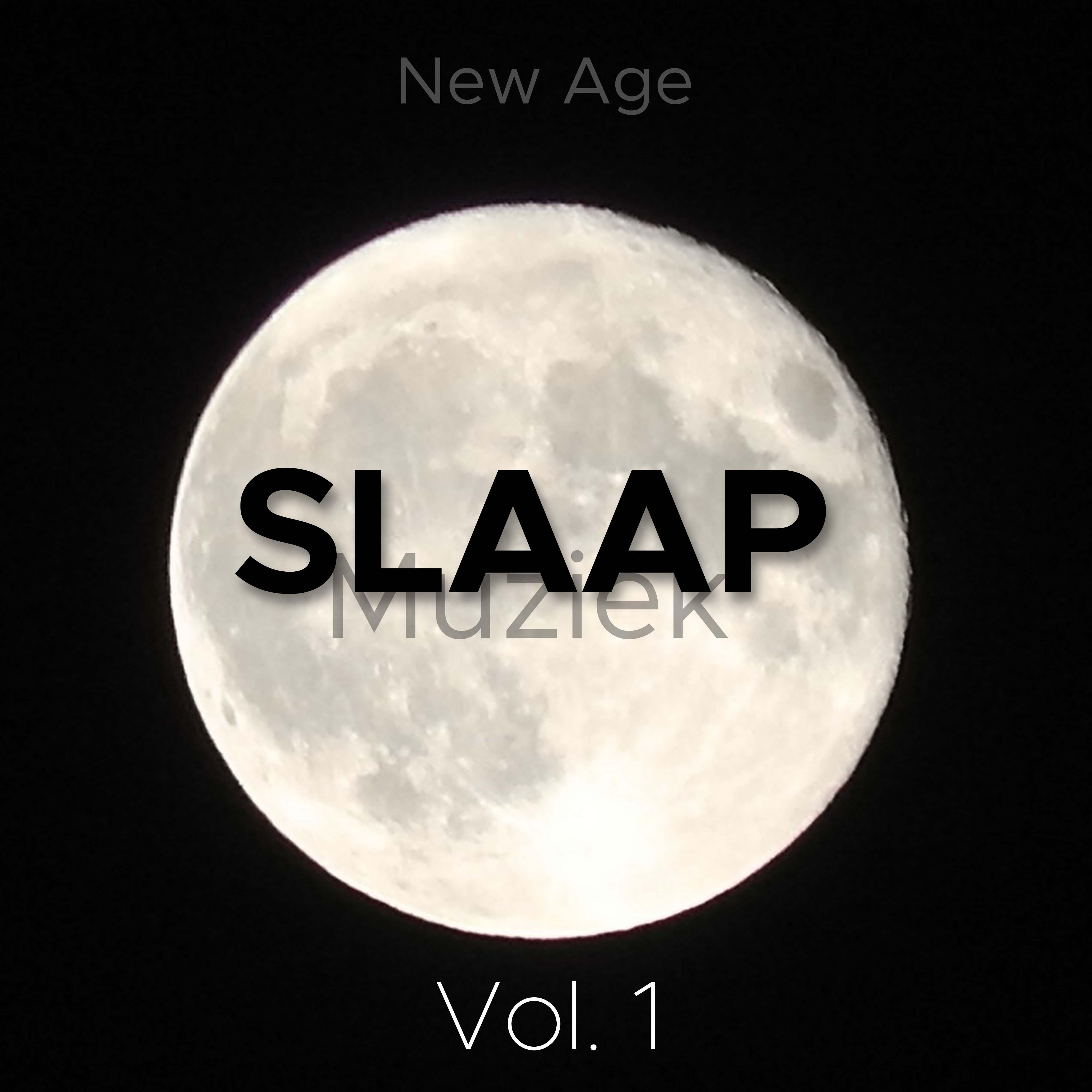 Slaap Muziek Vol. 1