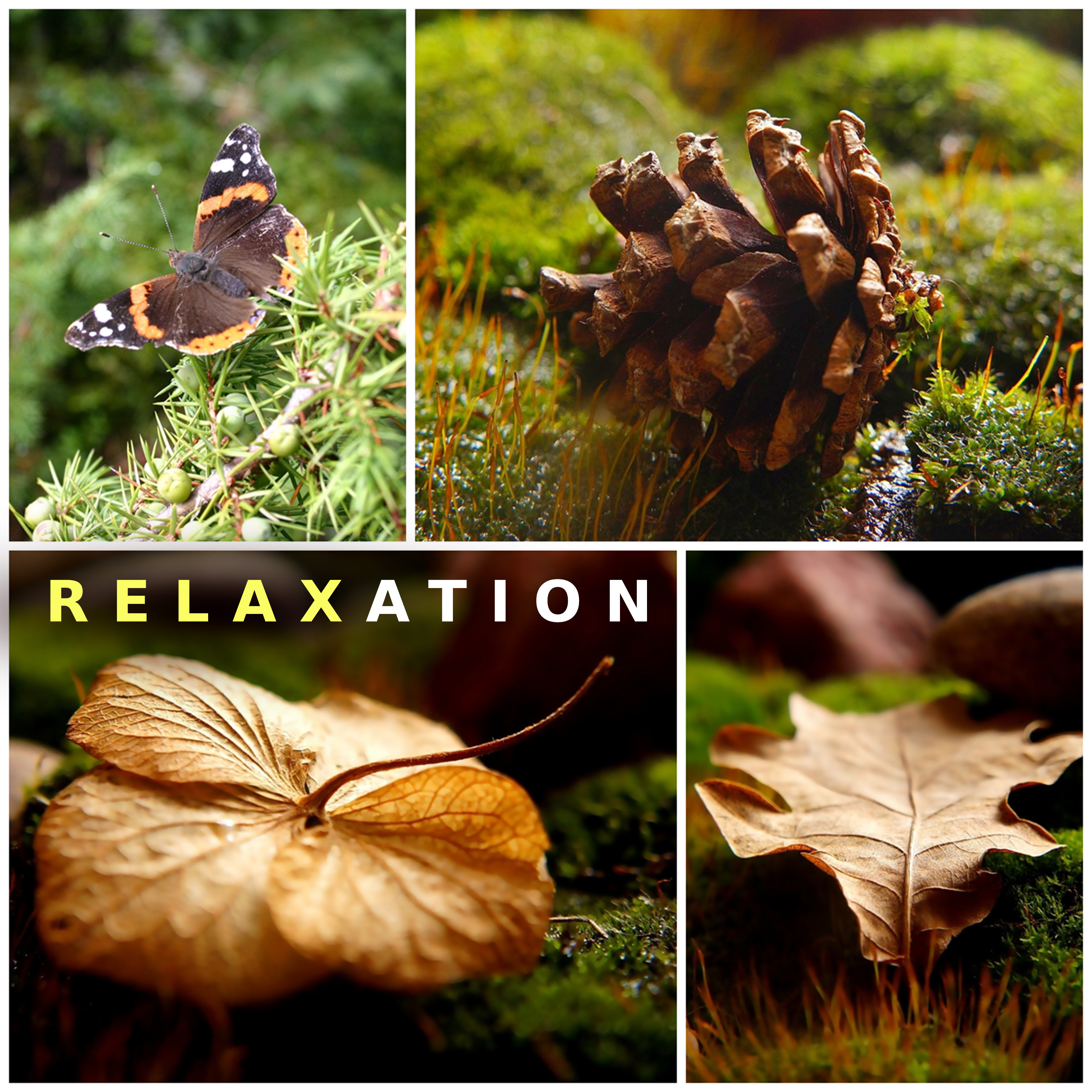 Relaxation – The Best of Relaxing Music, New Age for Spa, Massage, Meditation, Deep Relaxation