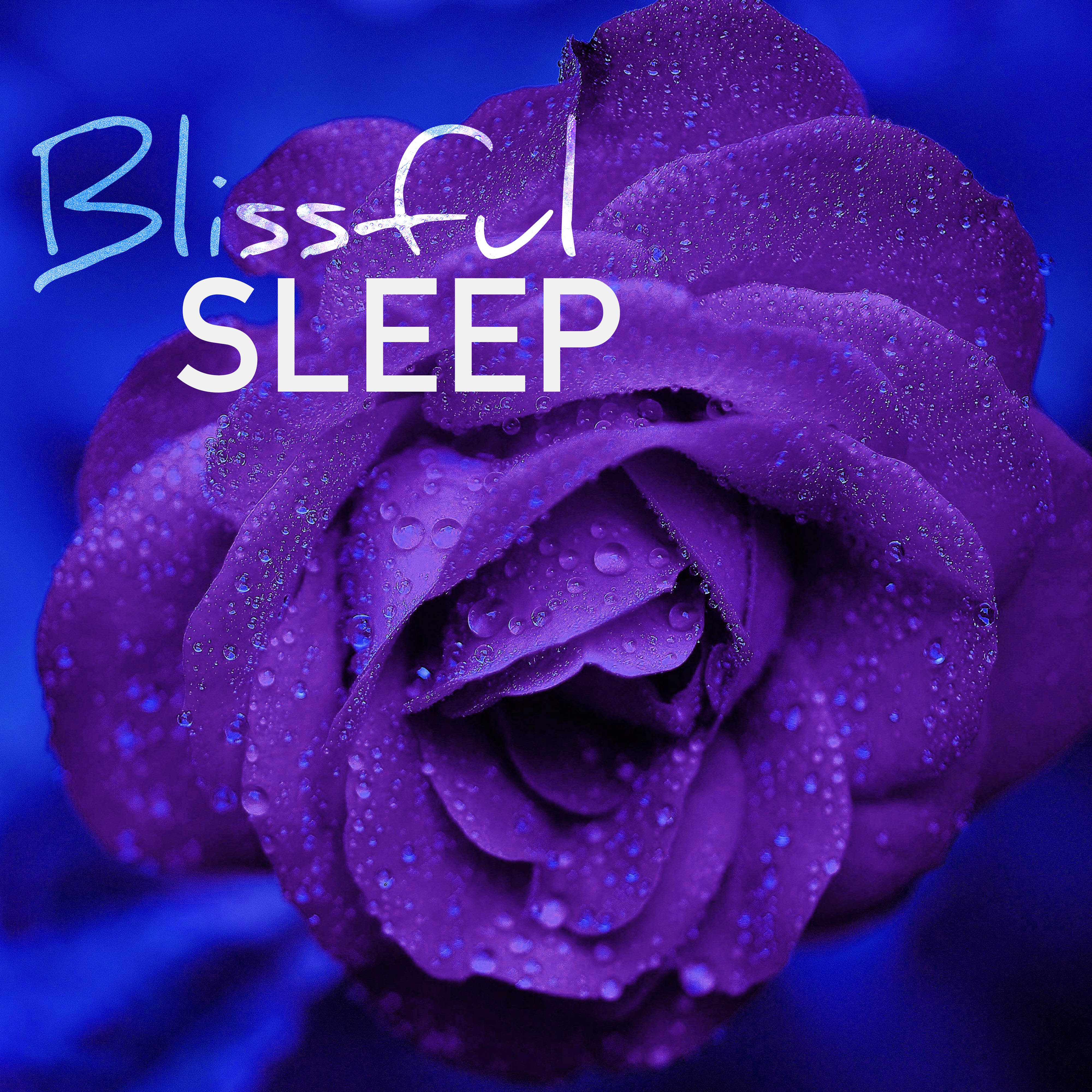 Blissful Sleep - Relax Nature Sounds