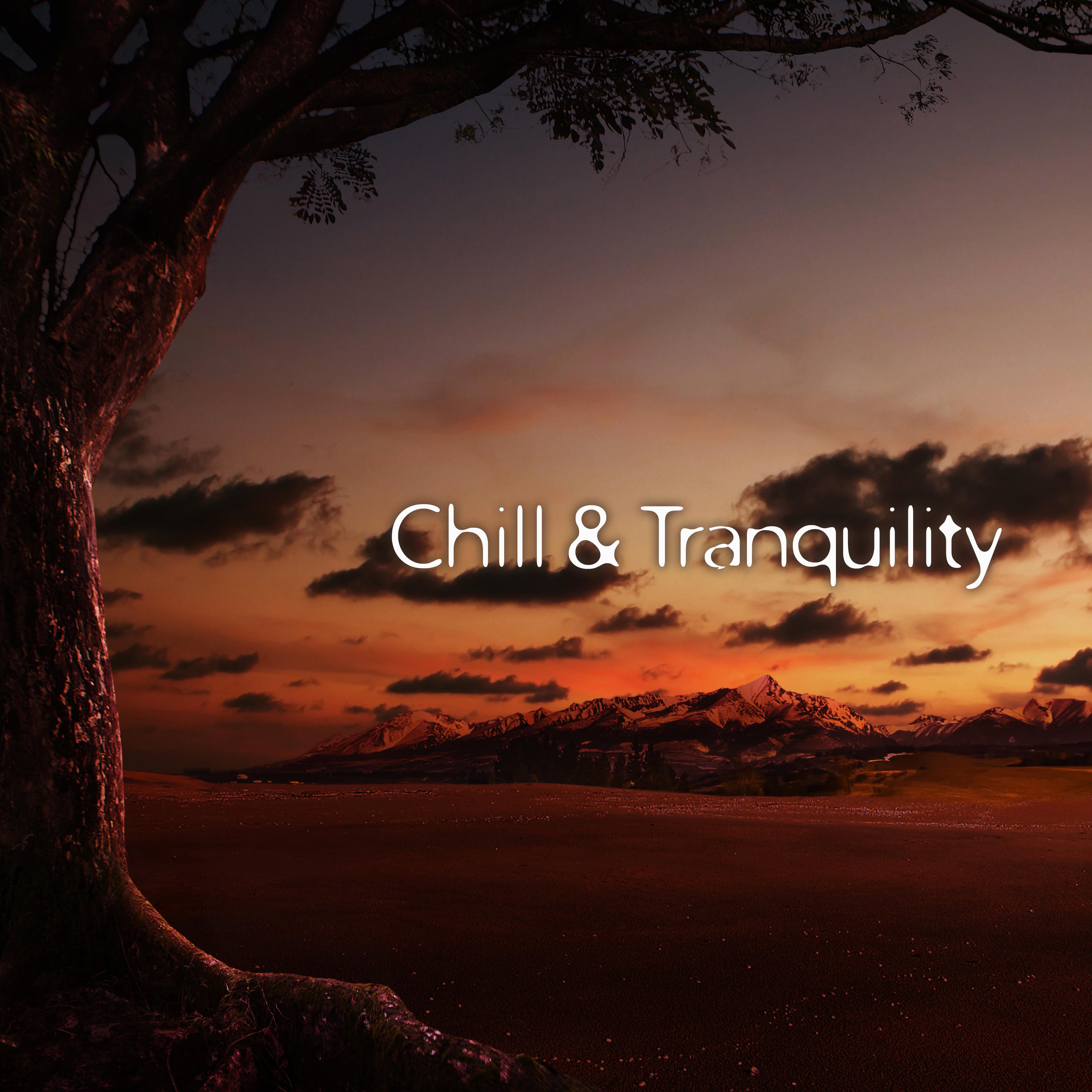 Chill & Tranquility – Deep Relief, Nature Sounds to Rest, Ambient Music, Perfect Relax, Soothing Music