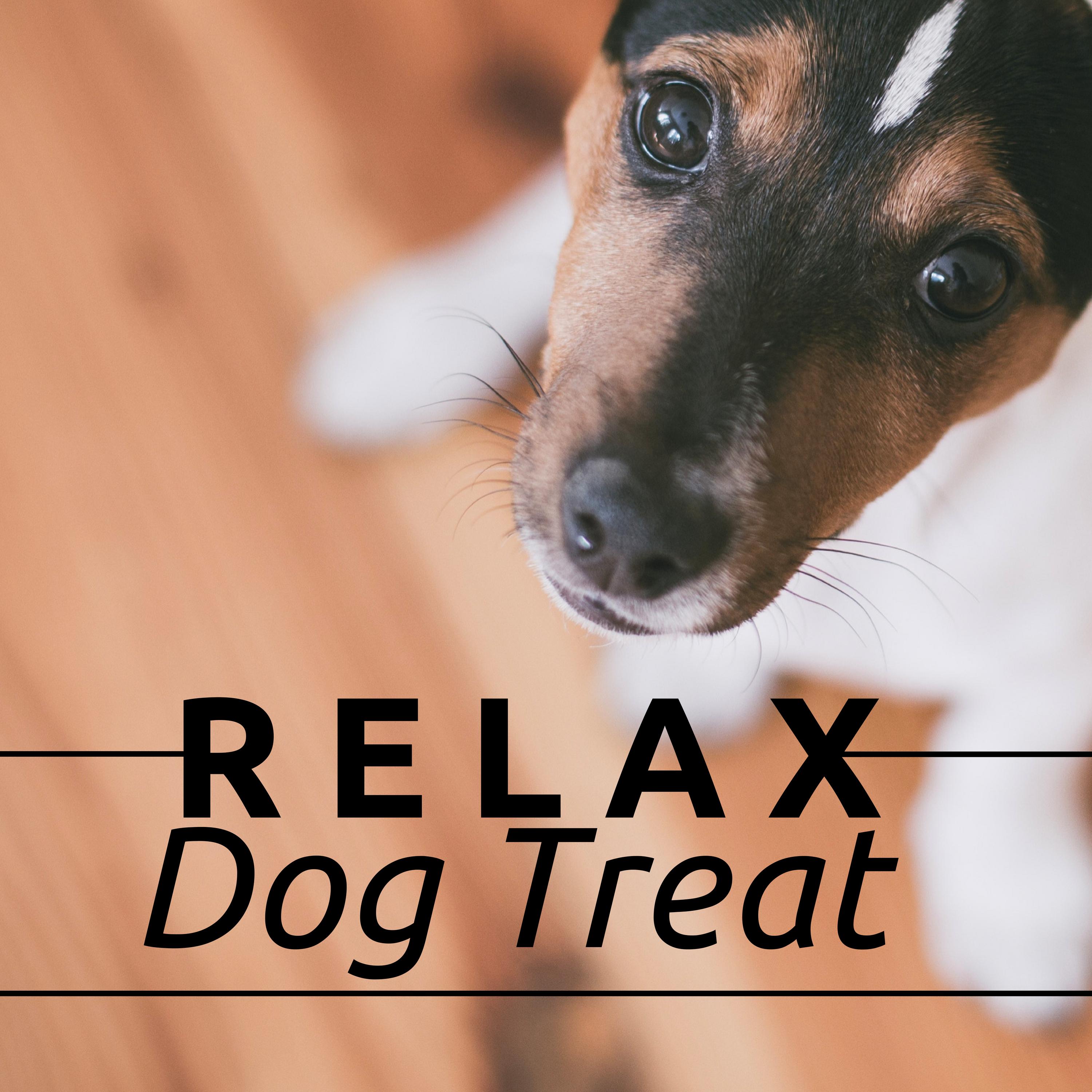 Relax Dog Treat - Top Mix of Relaxing Dog Music