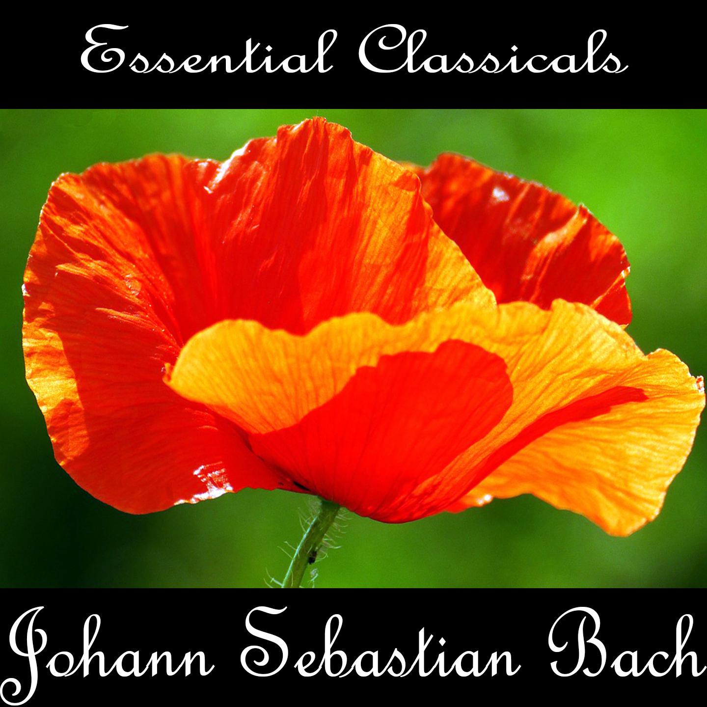 Essential Classics: Johann Sebastian Bach