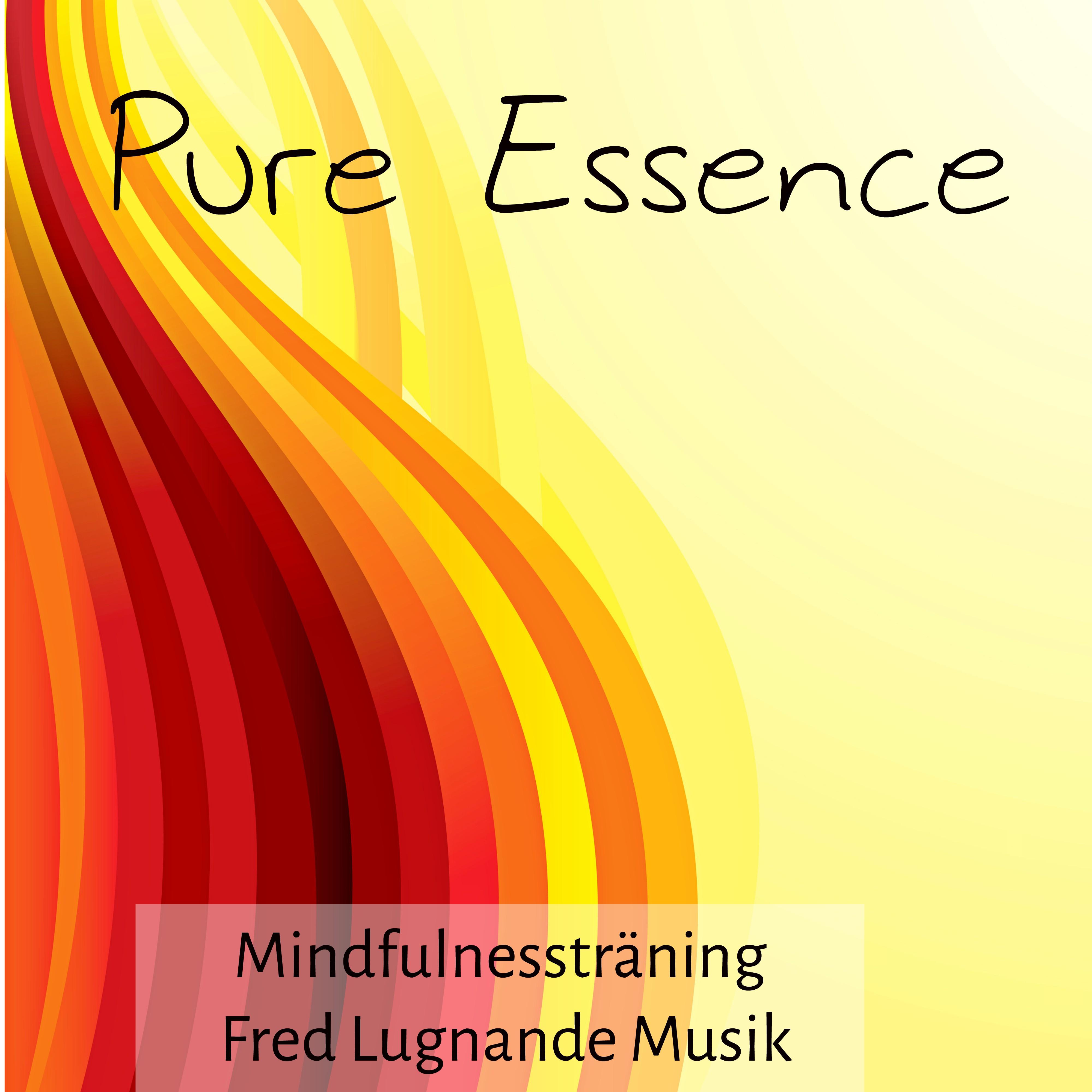Pure Essence - Mindfulnessträning Fred Lugnande Musik för Djup Avslappning Chakra Rensning med Natur Instrumental Ljud