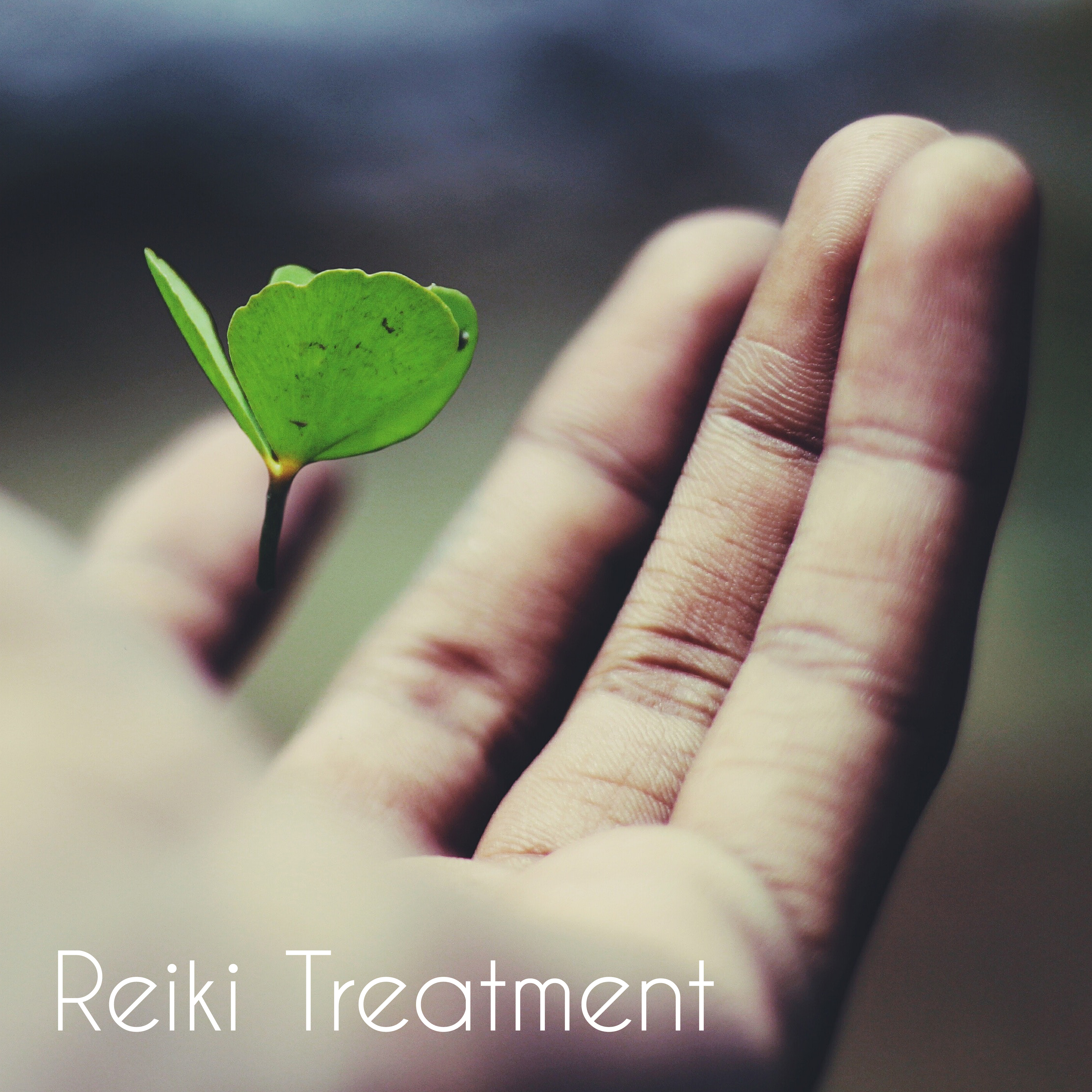 Reiki Treatment