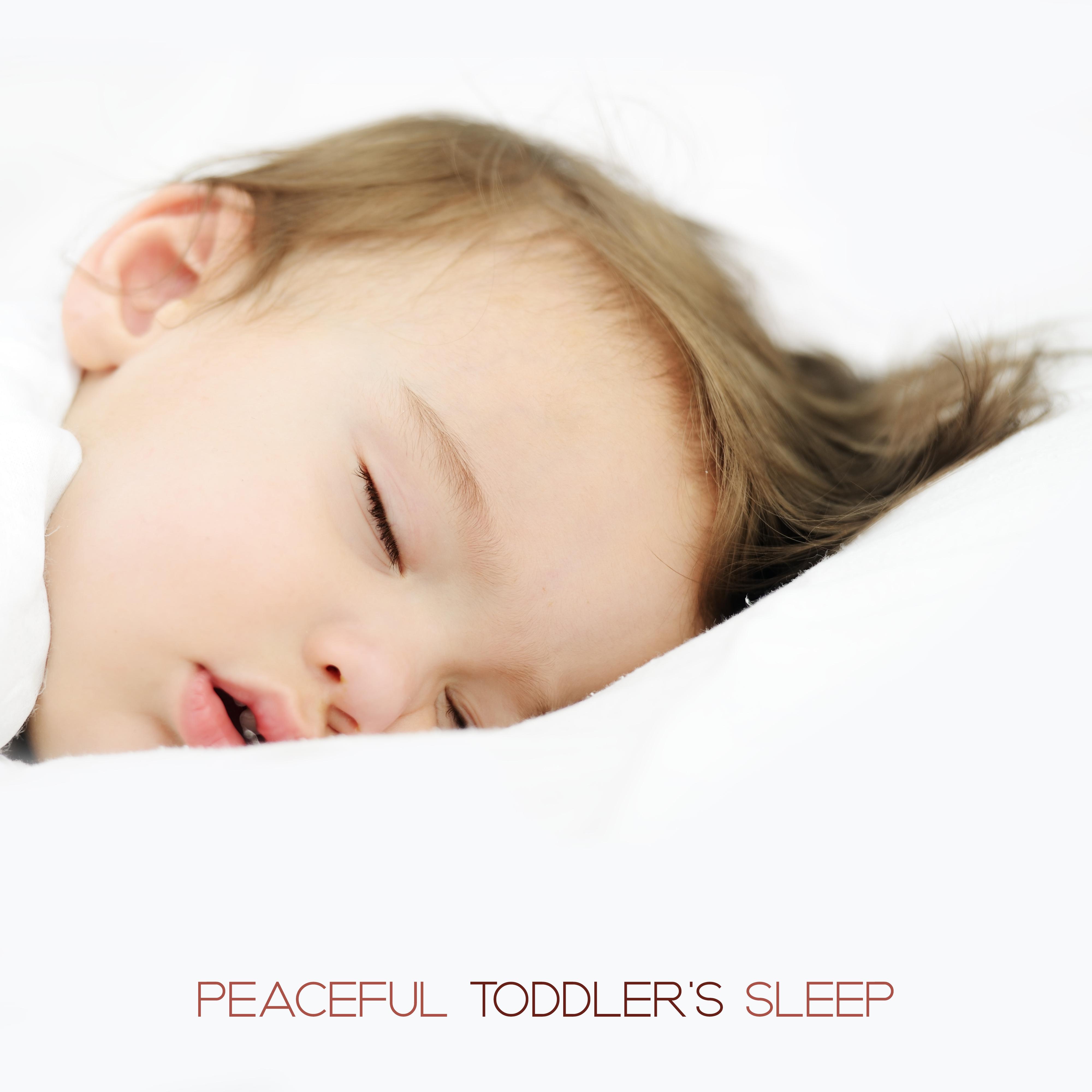 Peaceful Toddler's Sleep