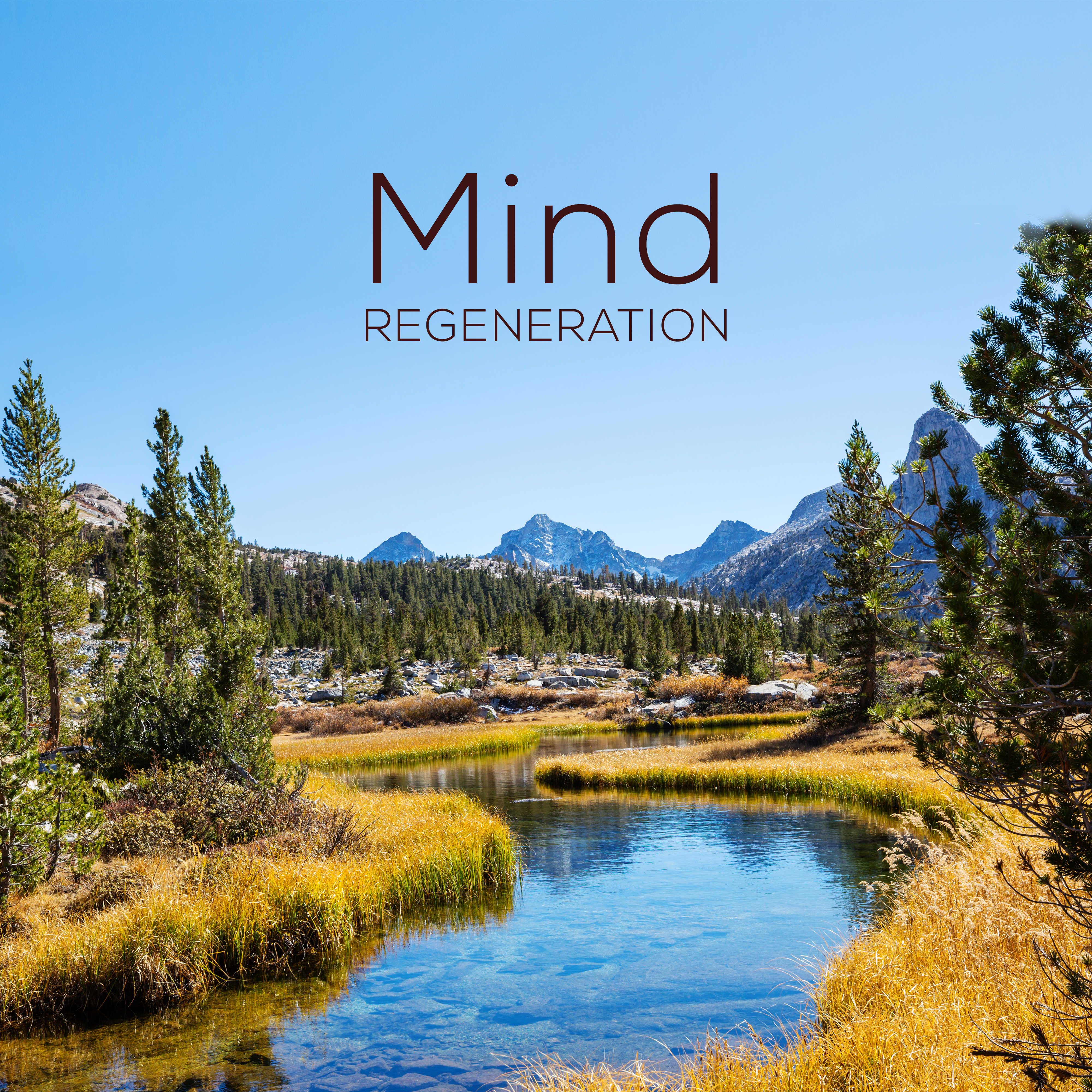 Mind Regeneration