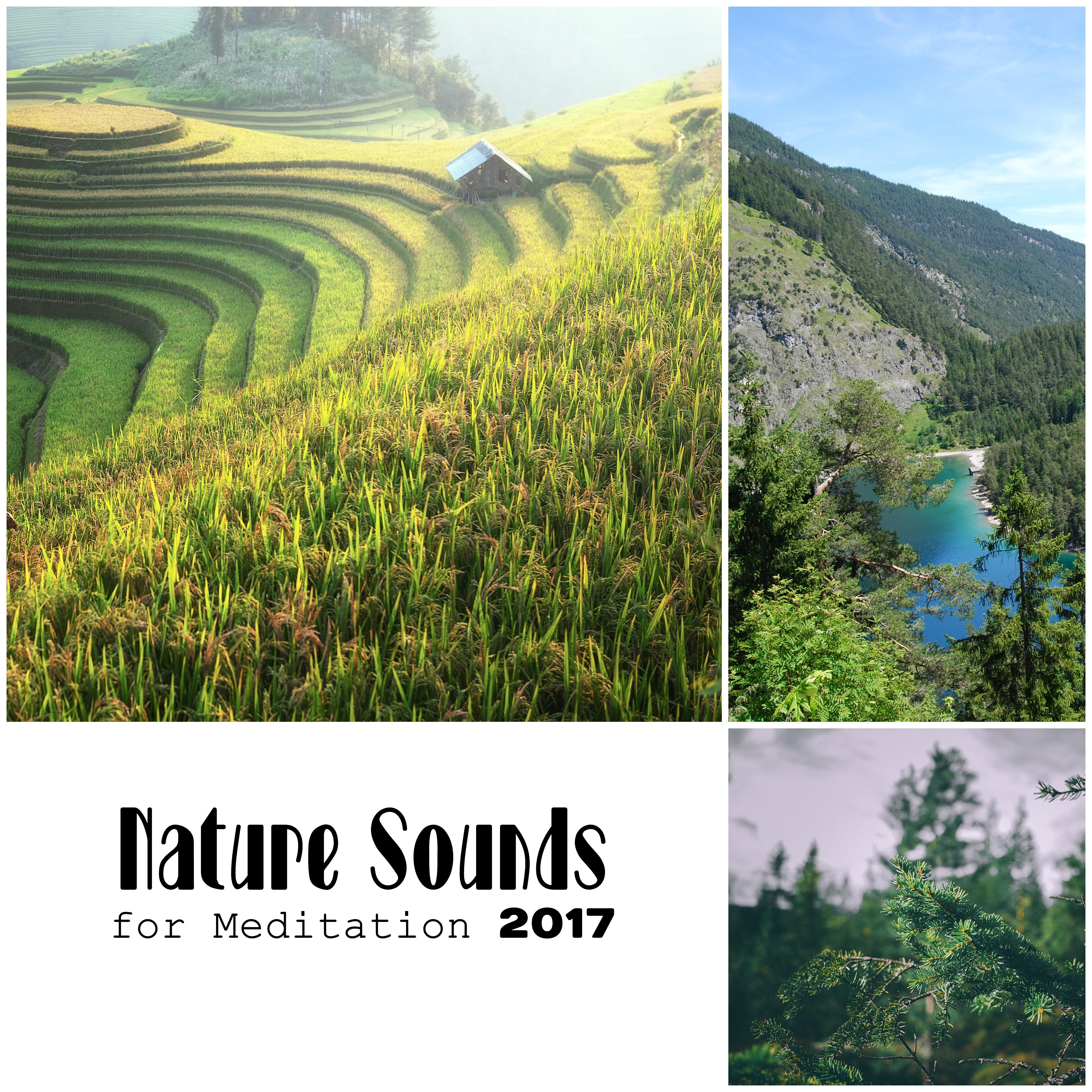 Nature Sounds for Meditation 2017 – Pure Mind, Zen Music for Relaxation, Sleep, Healing, Yoga, Stress Relief, Sounds of Birds, Gentle Rain