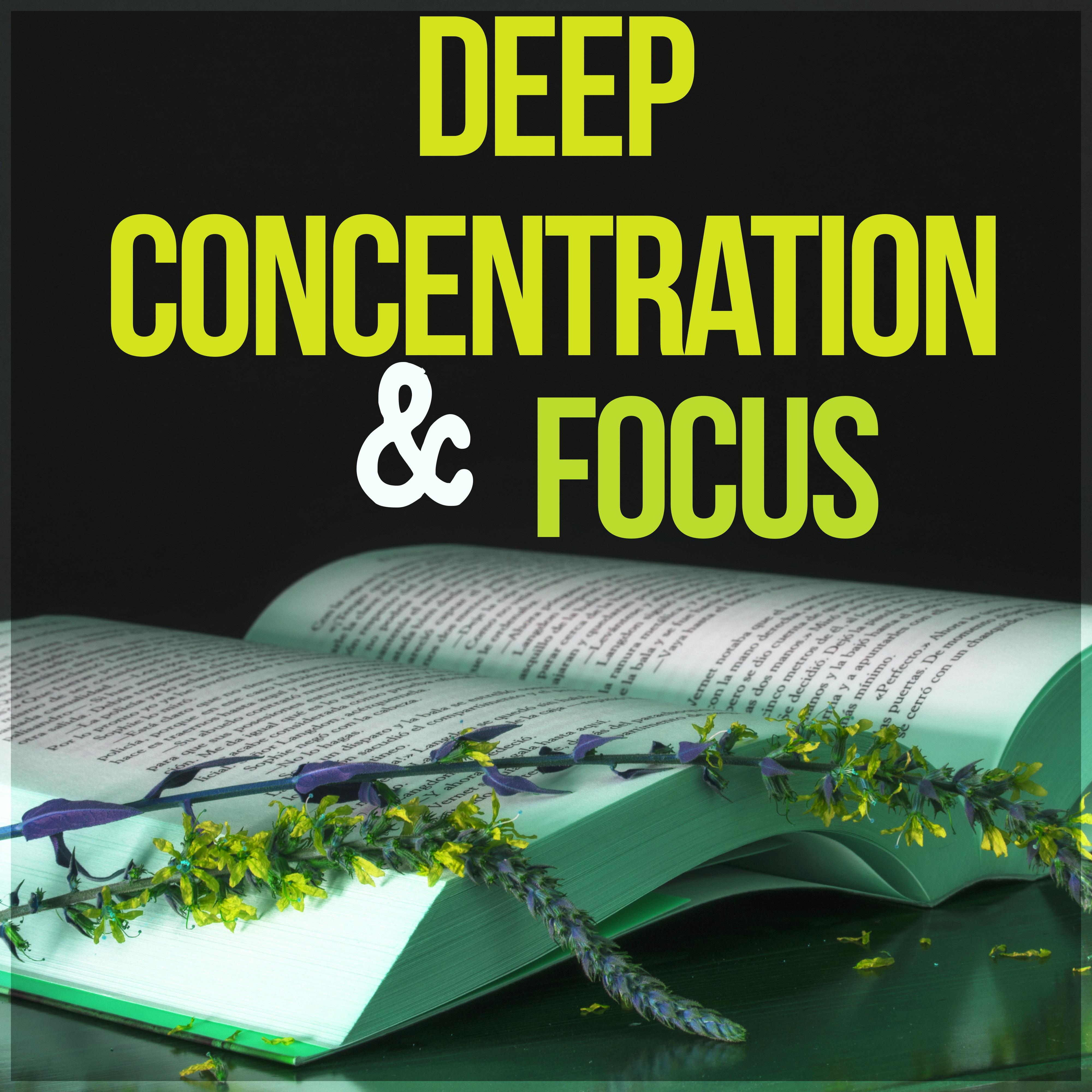 Deep Concentration & Focus - Songs for Learning, Concentration, Relaxation, Focus, Memorizing and Reading, Calm Music for Studying