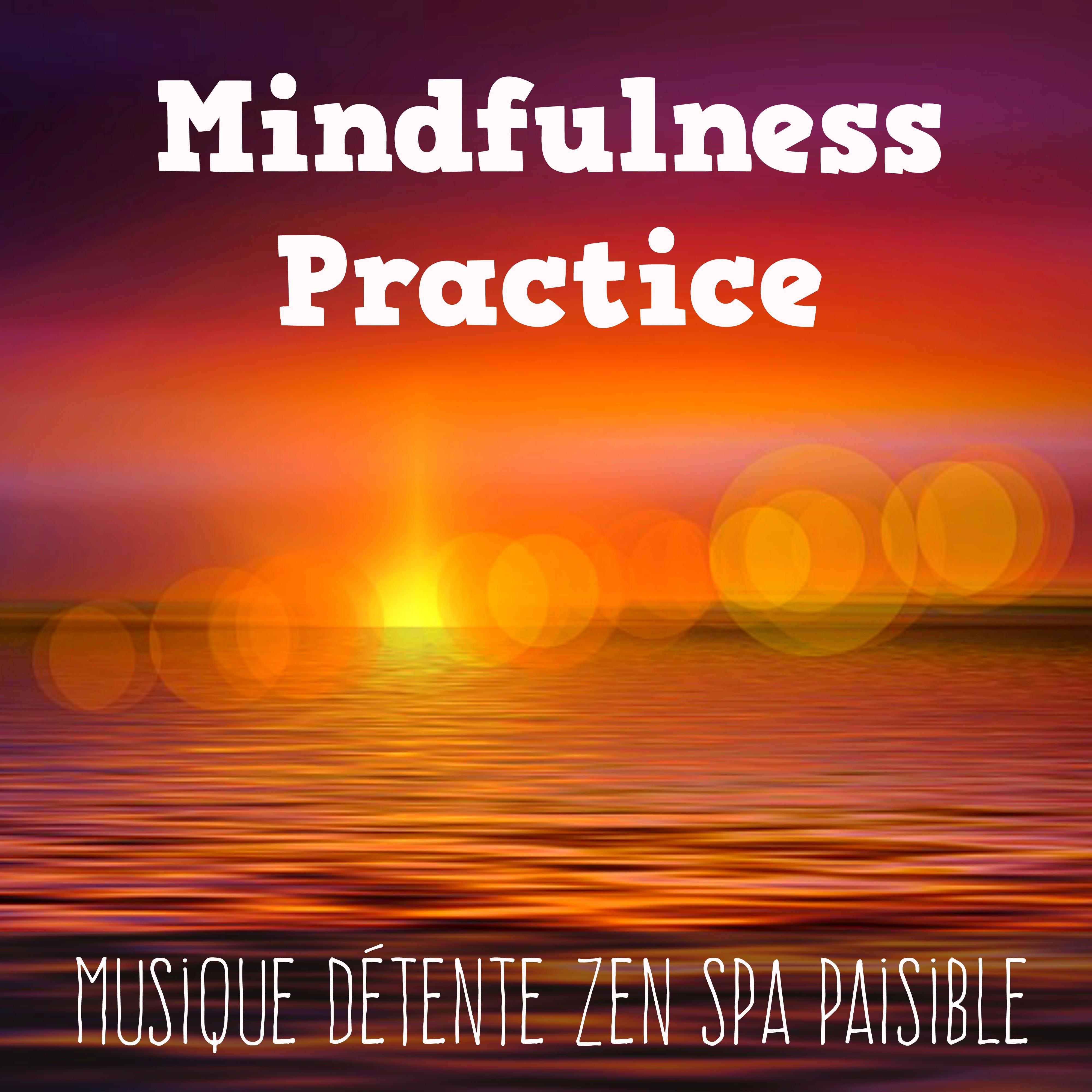 Mindfulness Practice - Musique Détente Zen Spa Paisible pour Guérison Emotionnelle avec Sons de la Nature New Age Spirituels