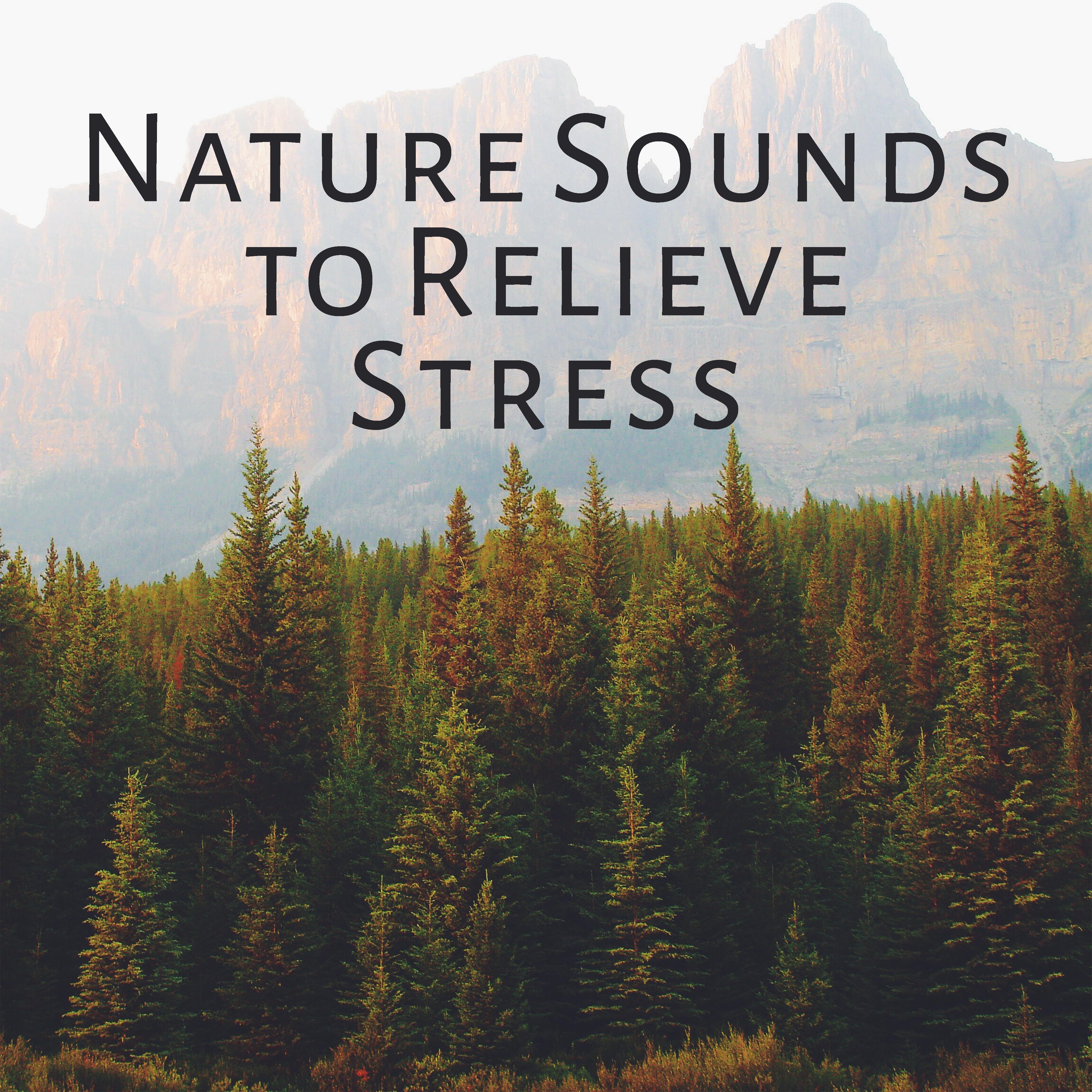 Nature Sounds to Relieve Stress – Easy Sounds, Calming Waves, Healing Memories, Peaceful Music