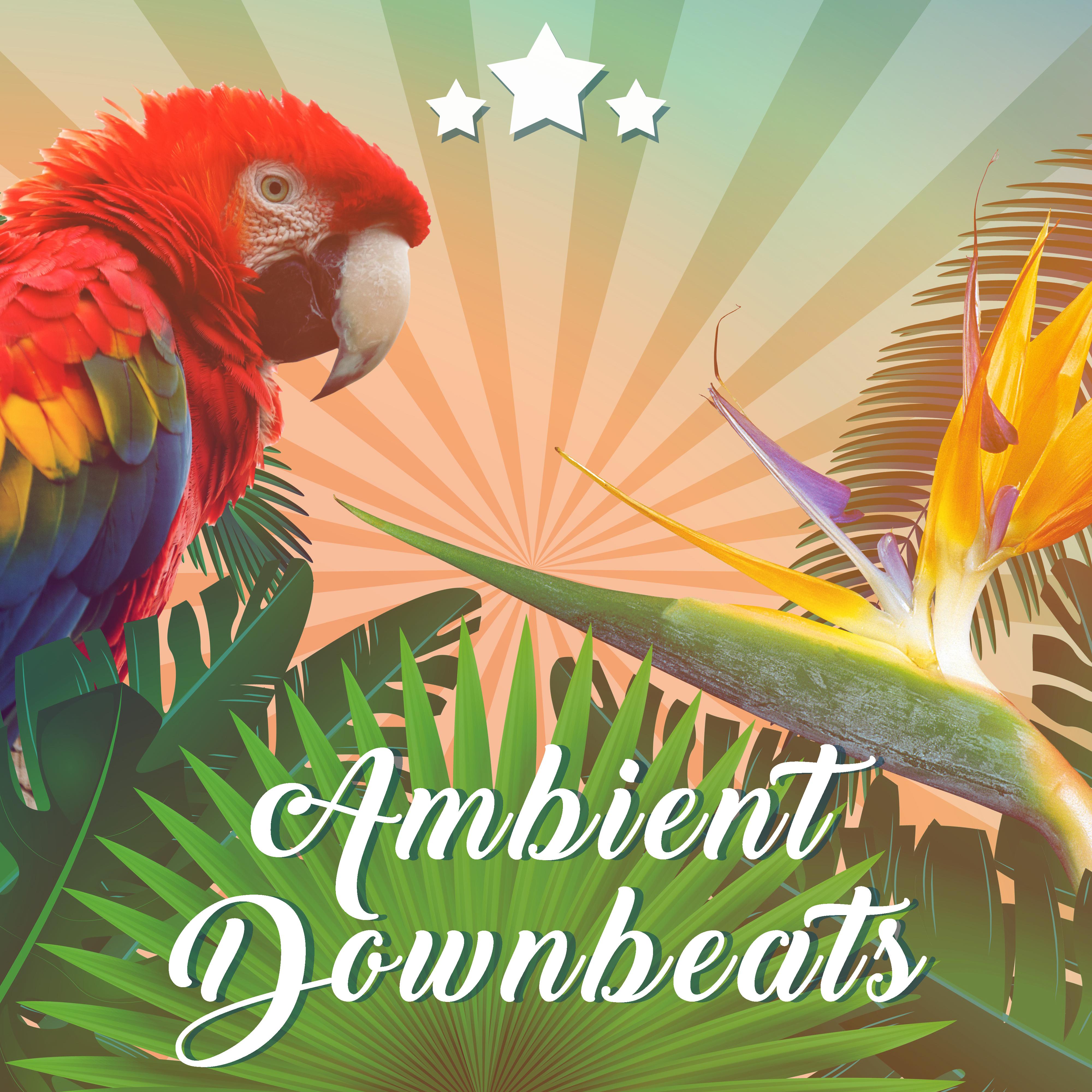 Ambient Downbeats – Summer Chill Out Session, Electronic Vibes, Trance, Lounge, Chil Out 2017