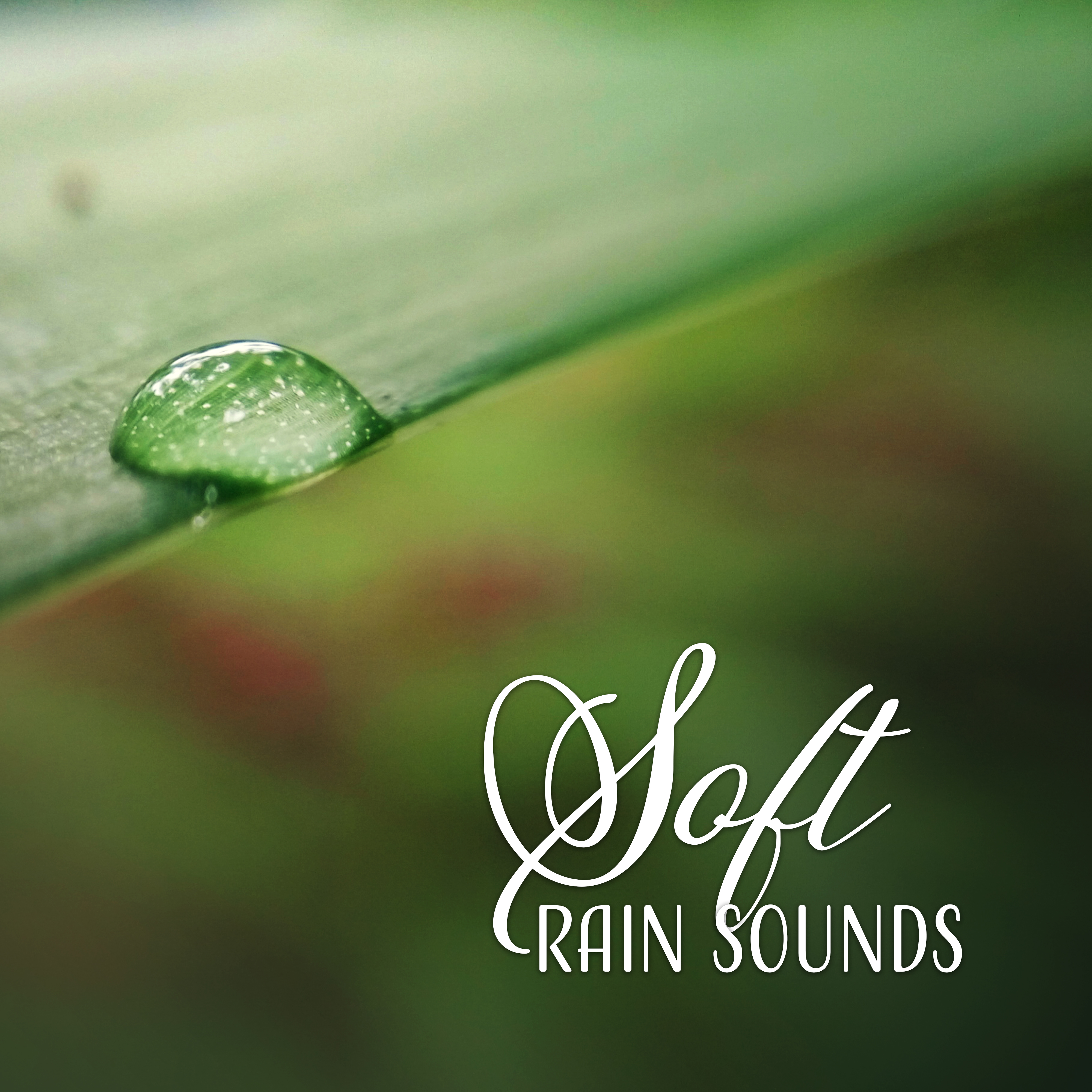 Soft Rain Sounds – Calm Rainy Day, Easy Listening, Peaceful Sounds, Nature Relaxation
