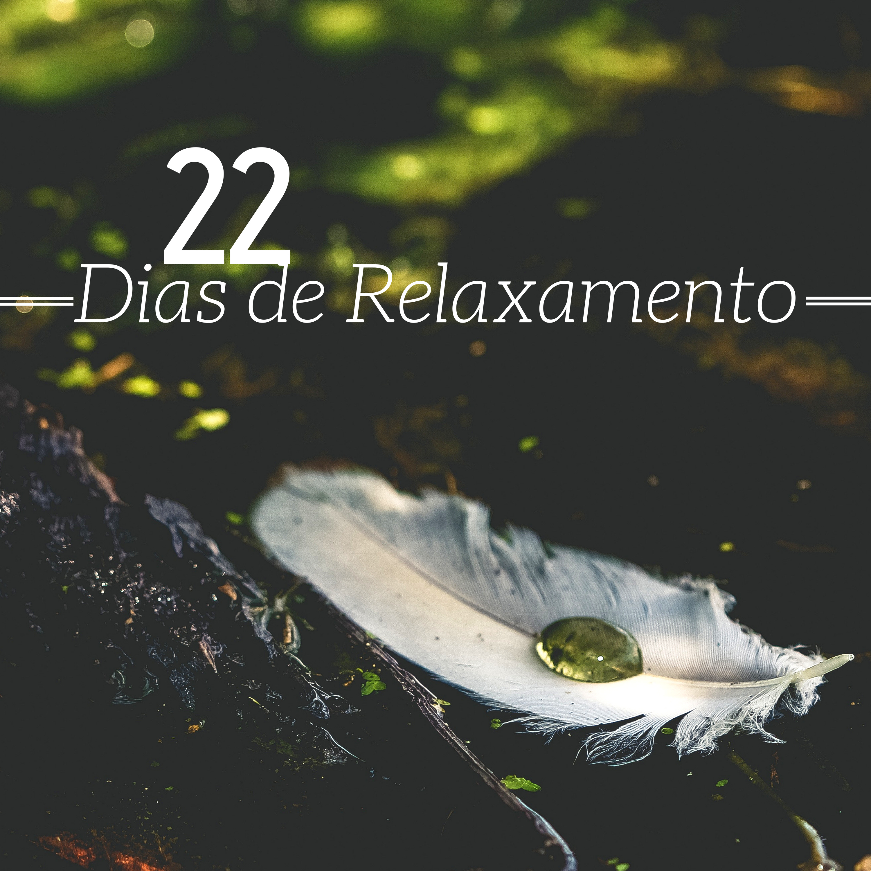 22 Dias de Relaxamento
