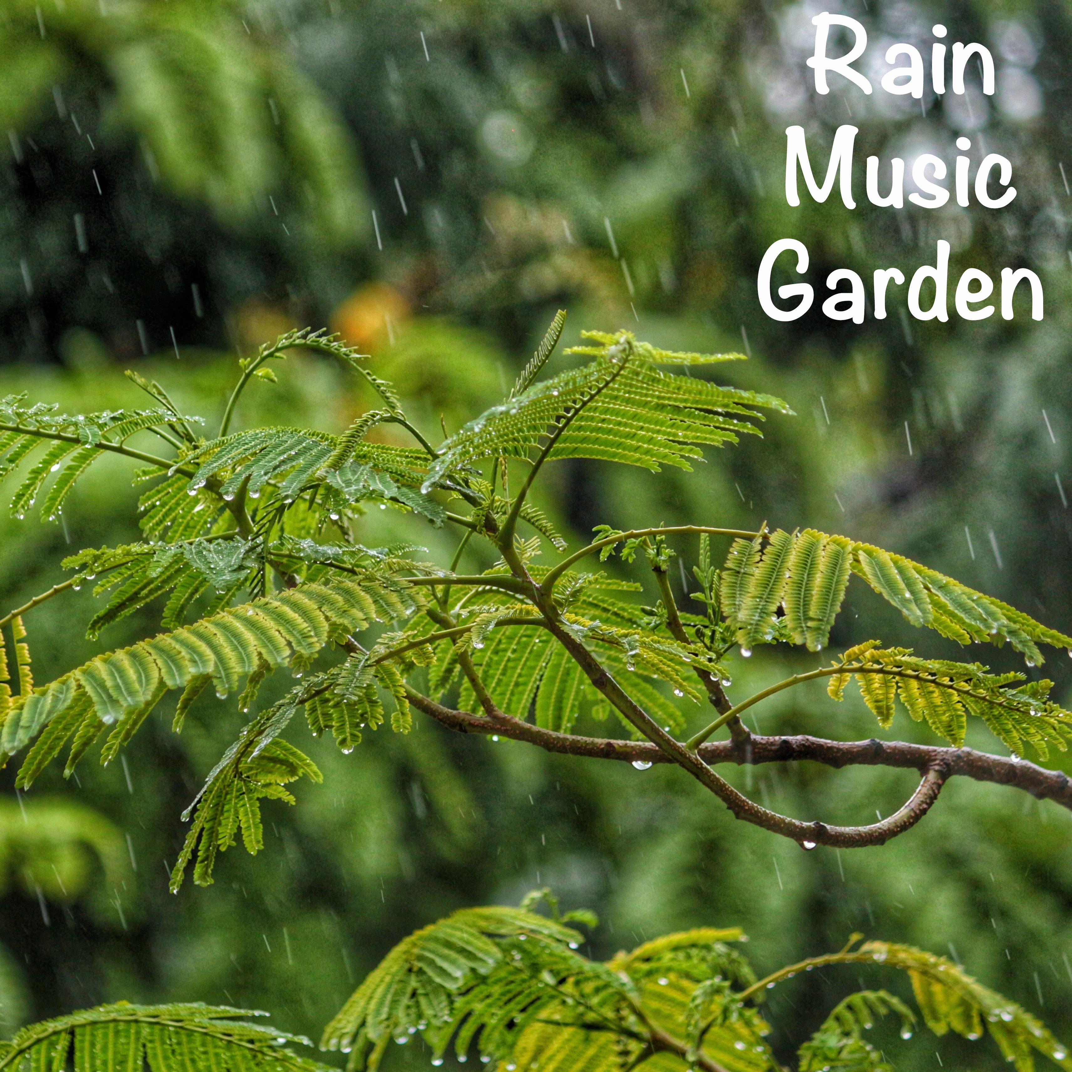 18 White Noise Nature Sounds - Rain Music Garden
