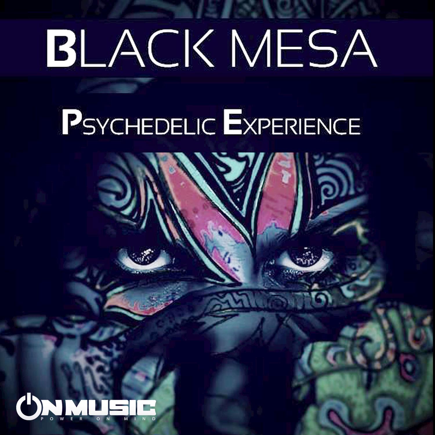 Psychedelic Experience