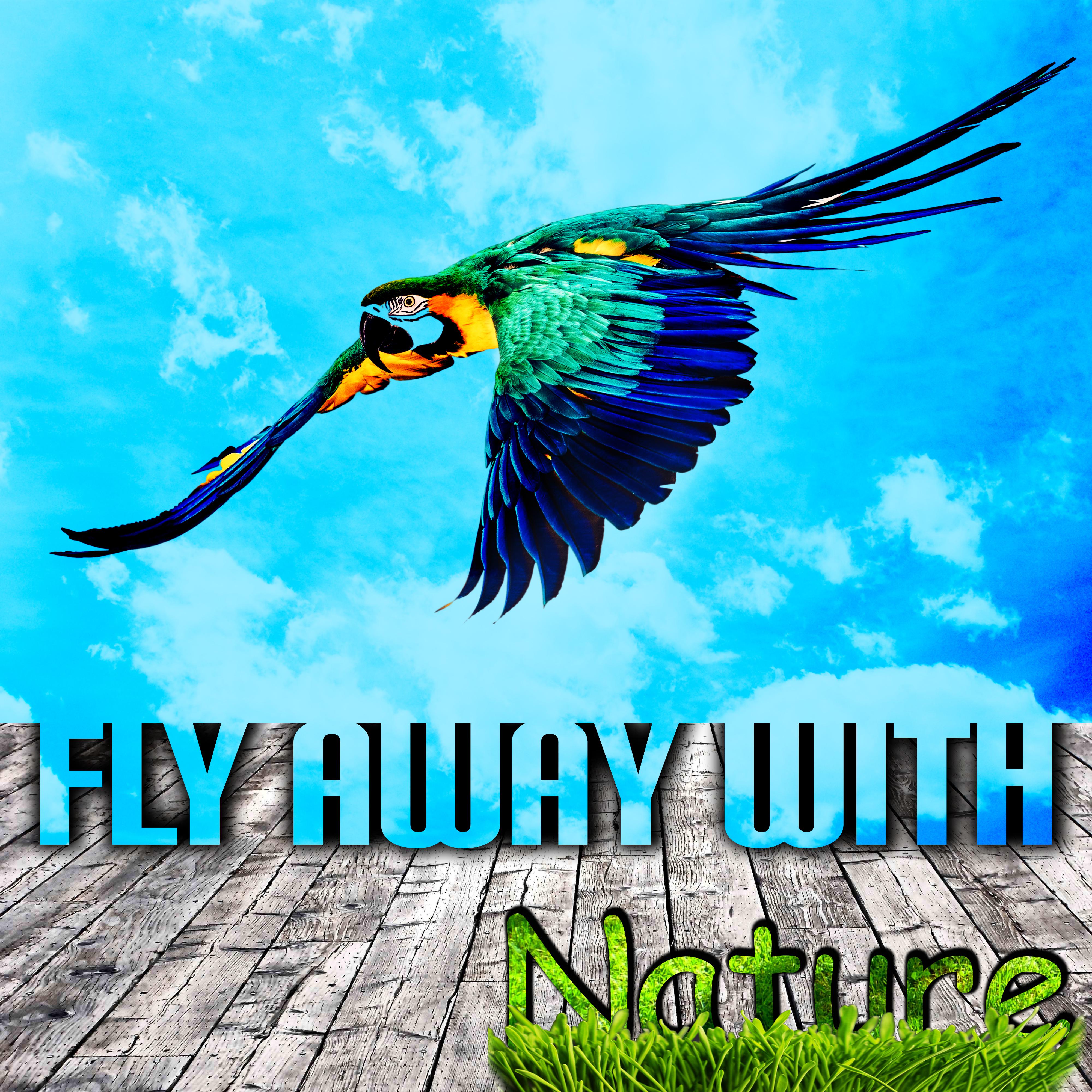 Fly Away with Nature – Soothing Music for Total Relax, Bedtime Songs, Reduce Stress, Iyengar Yoga, Therapy & Sleep Music, Deep Breathing, Naptime, Stress Relief with Natural Sounds