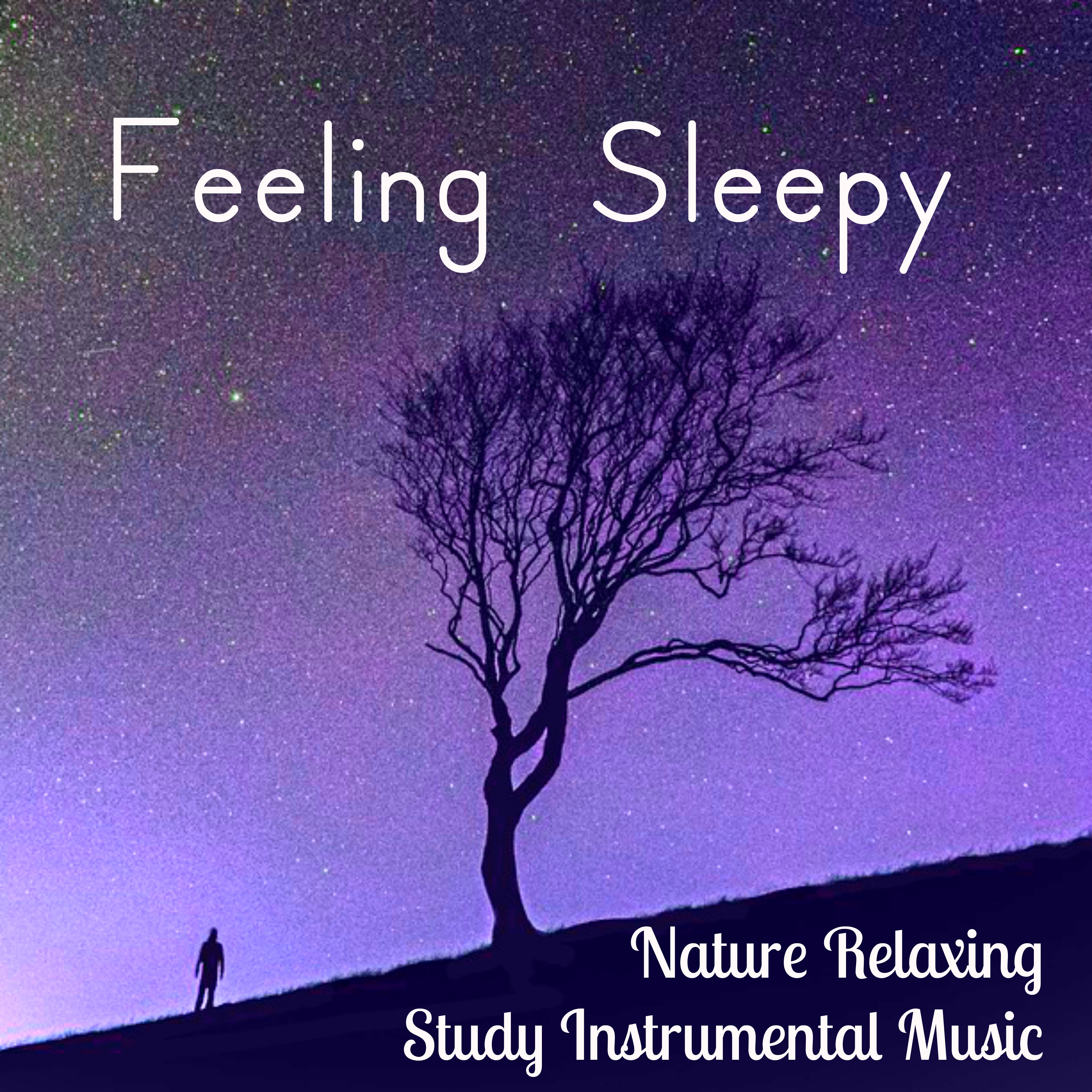 Feeling Sleepy - Nature Relaxing Study Instrumental Music for Yoga Classes Mind Exercises Chakra Therapy with Soothing Meditative New Age Sounds