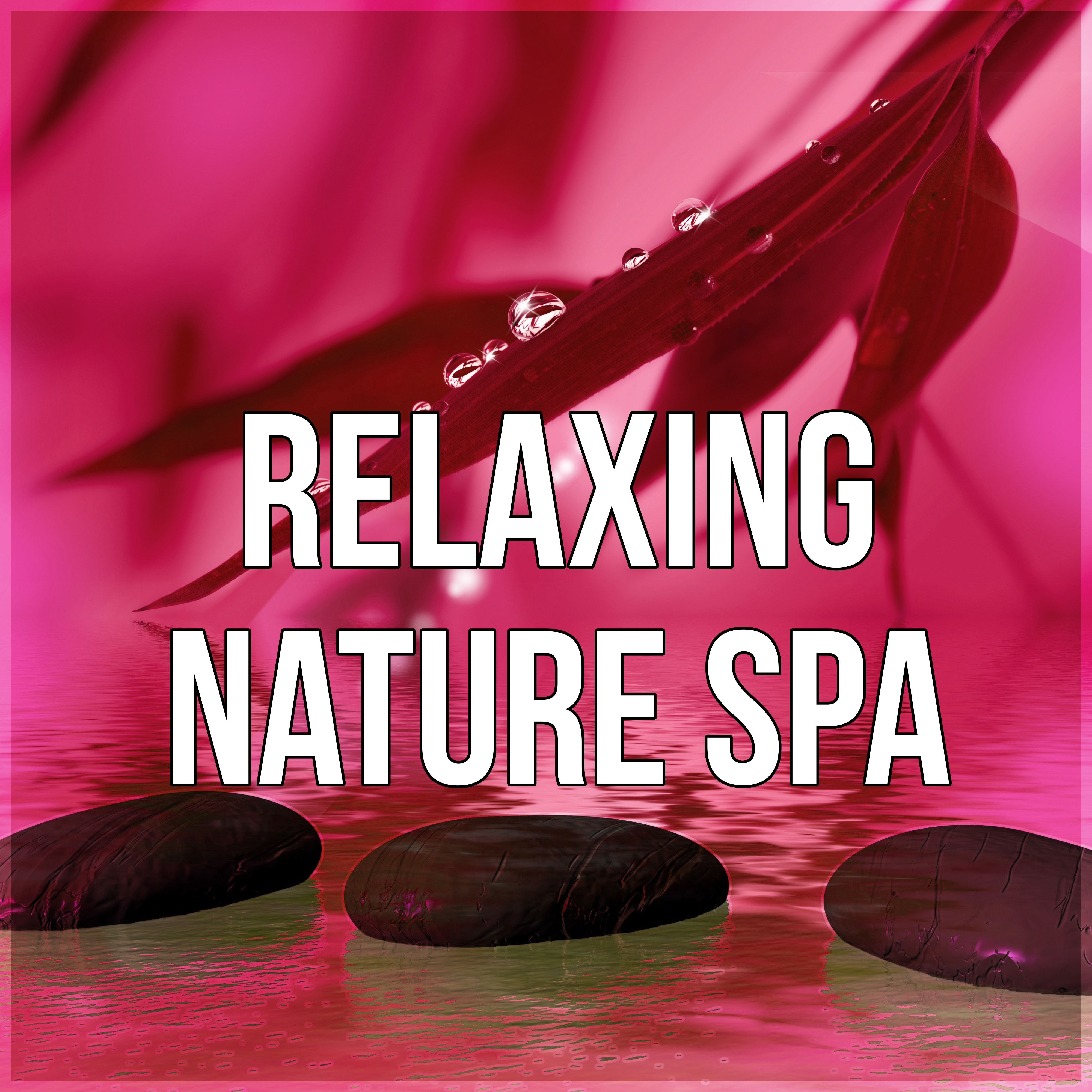 Relaxing Nature Spa – Wellness, Well-Being, Music for Massage, Music Therapy, Ocean Waves, Hydro Energy Body Massage