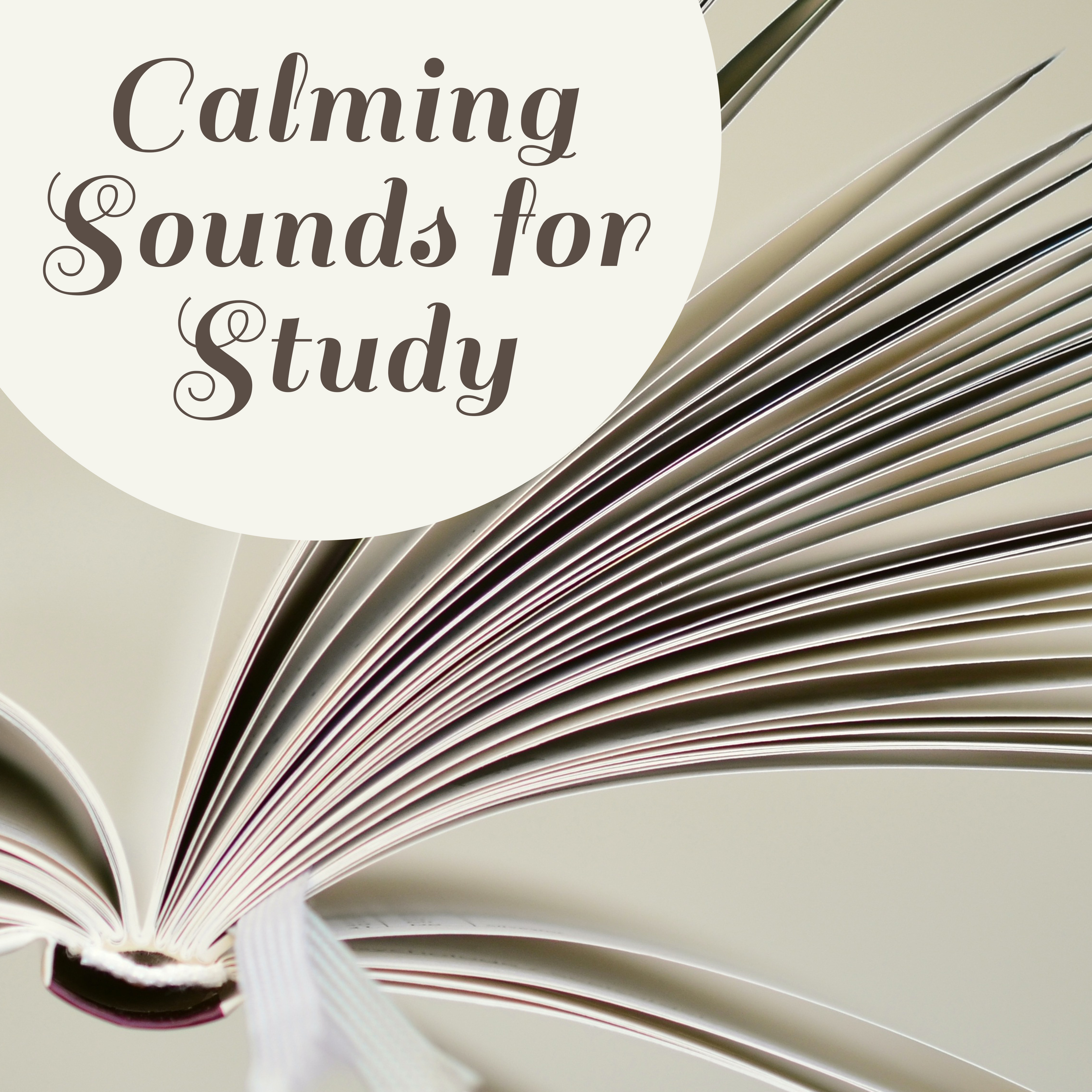 Calming Sounds for Study – Music for Learning, Deep Focus, Stress Relief, Nature Sounds Help Pass Exam, Clear Mind