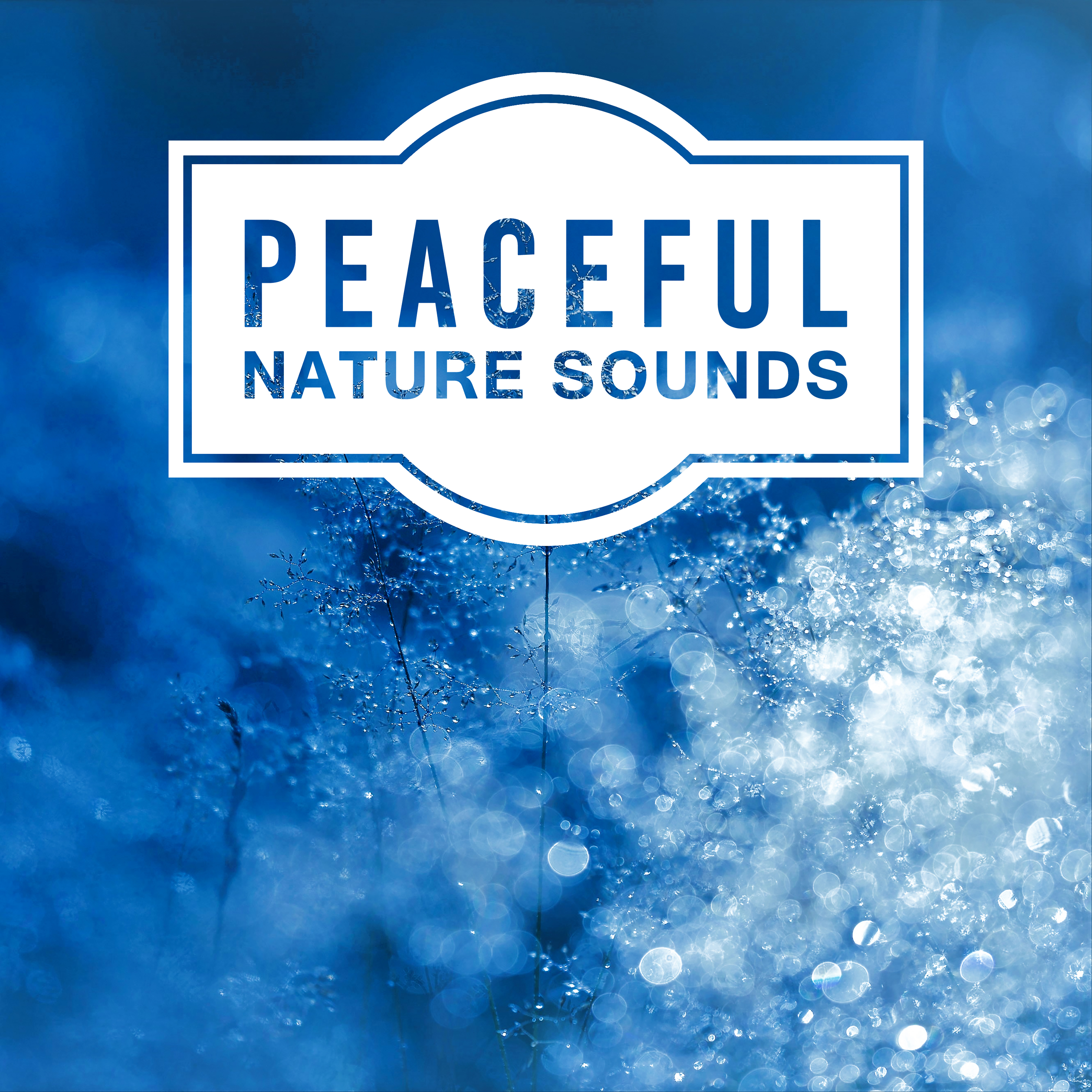 Peaceful Nature Sounds – New Age Music for Relaxation, Pure Waves, Healing Water, Sounds of Sea, Soft Music to Rest, Calm Down