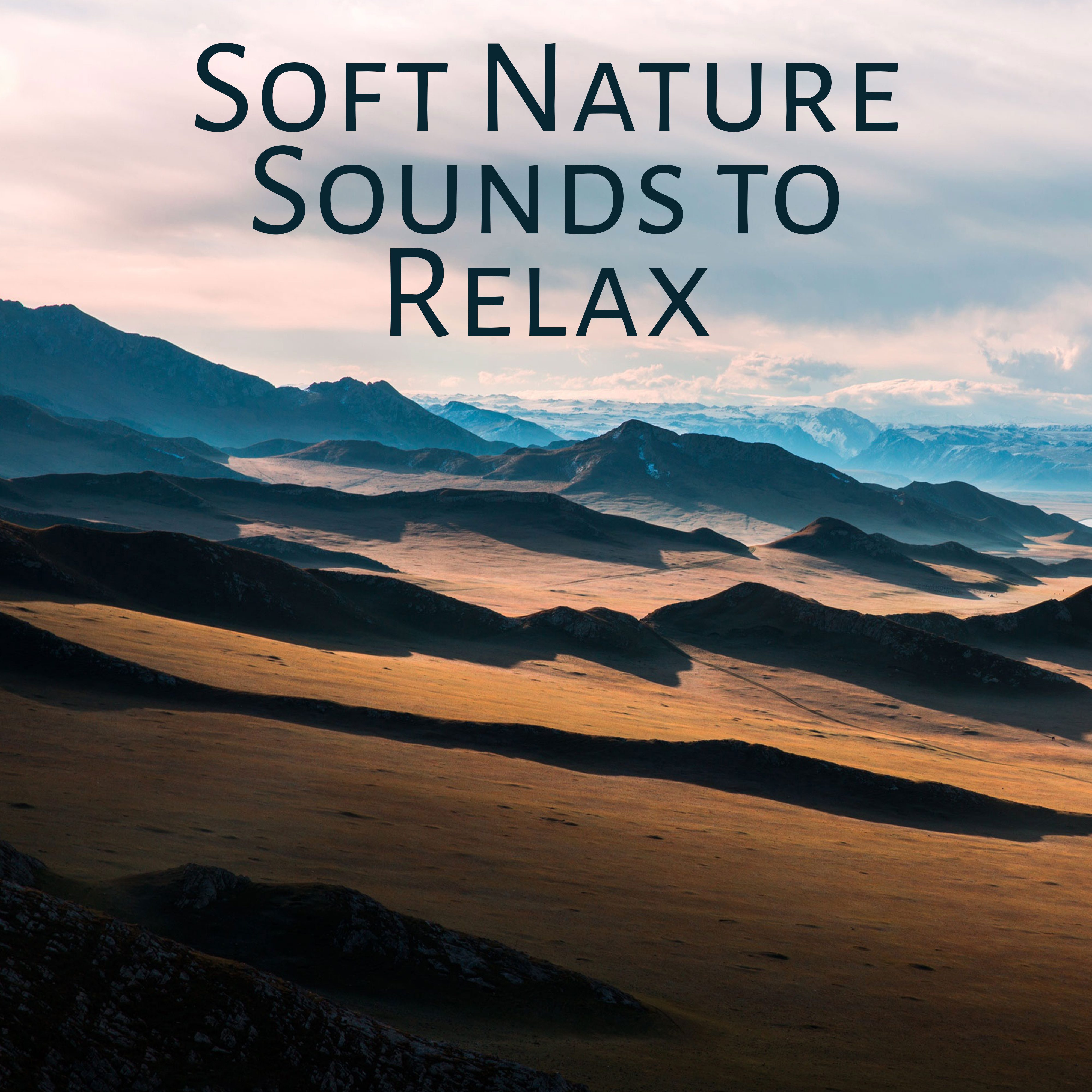 Soft Nature Sounds to Relax – Calming Nature Waves, Healing Melodies, Music to Rest, Inner Harmony