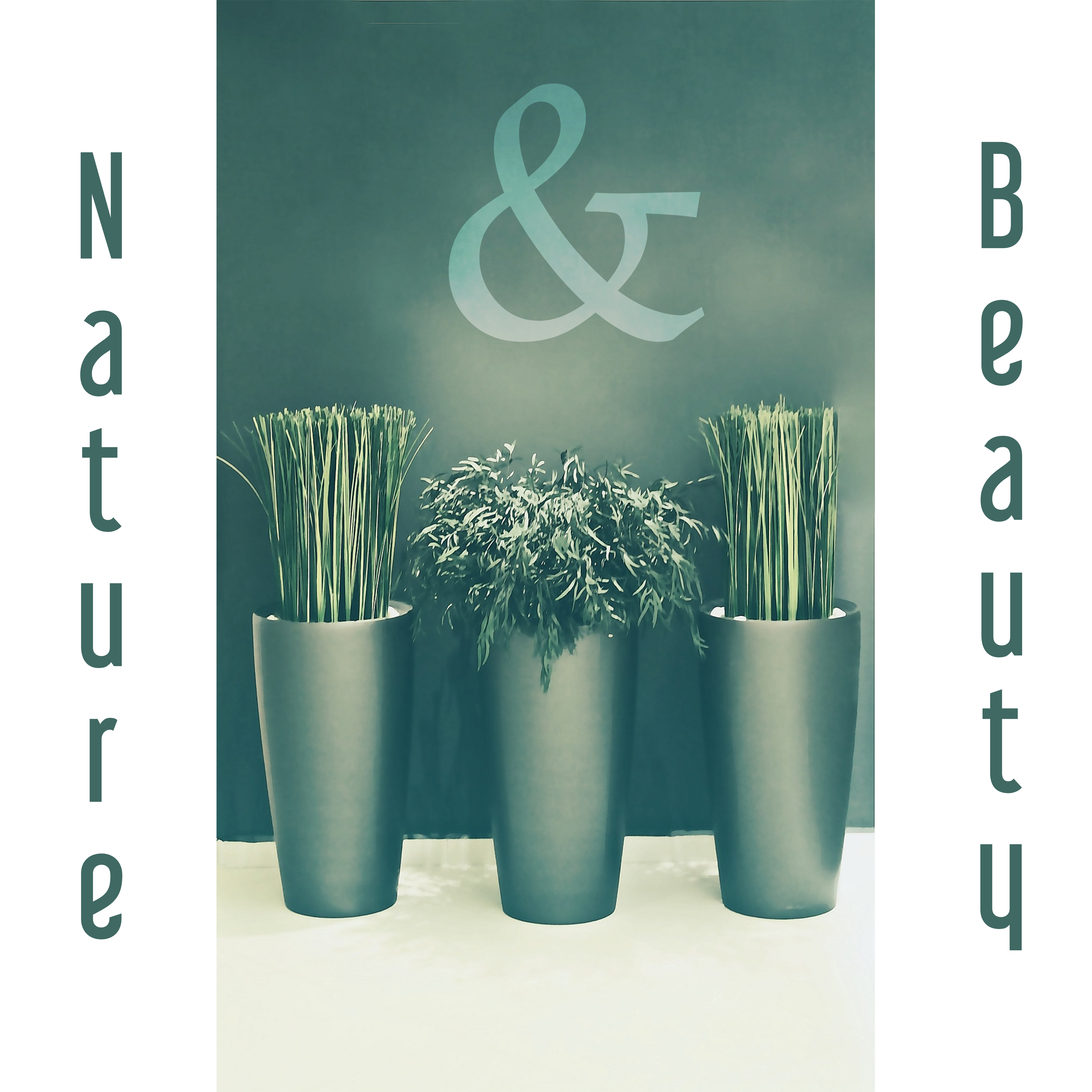 Nature & Beauty – Peaceful Music for Spa, Wellness, Deep Massage, Nature Sounds, Singing Birds, Melodies of Sea