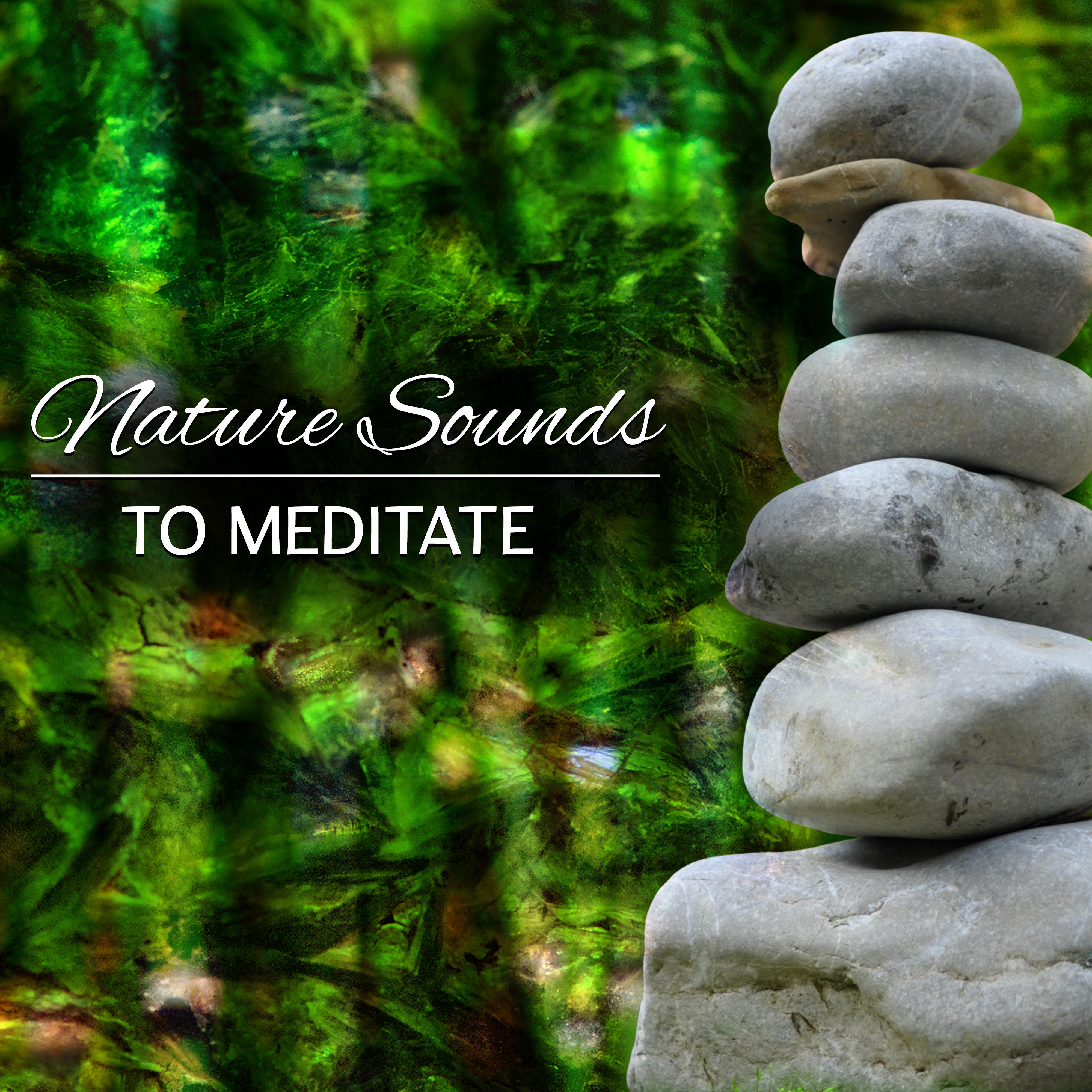 Nature Sounds to Meditate – Soothing Waves of Calmness, Time to Meditate, Soul Harmony, Spirit Journey