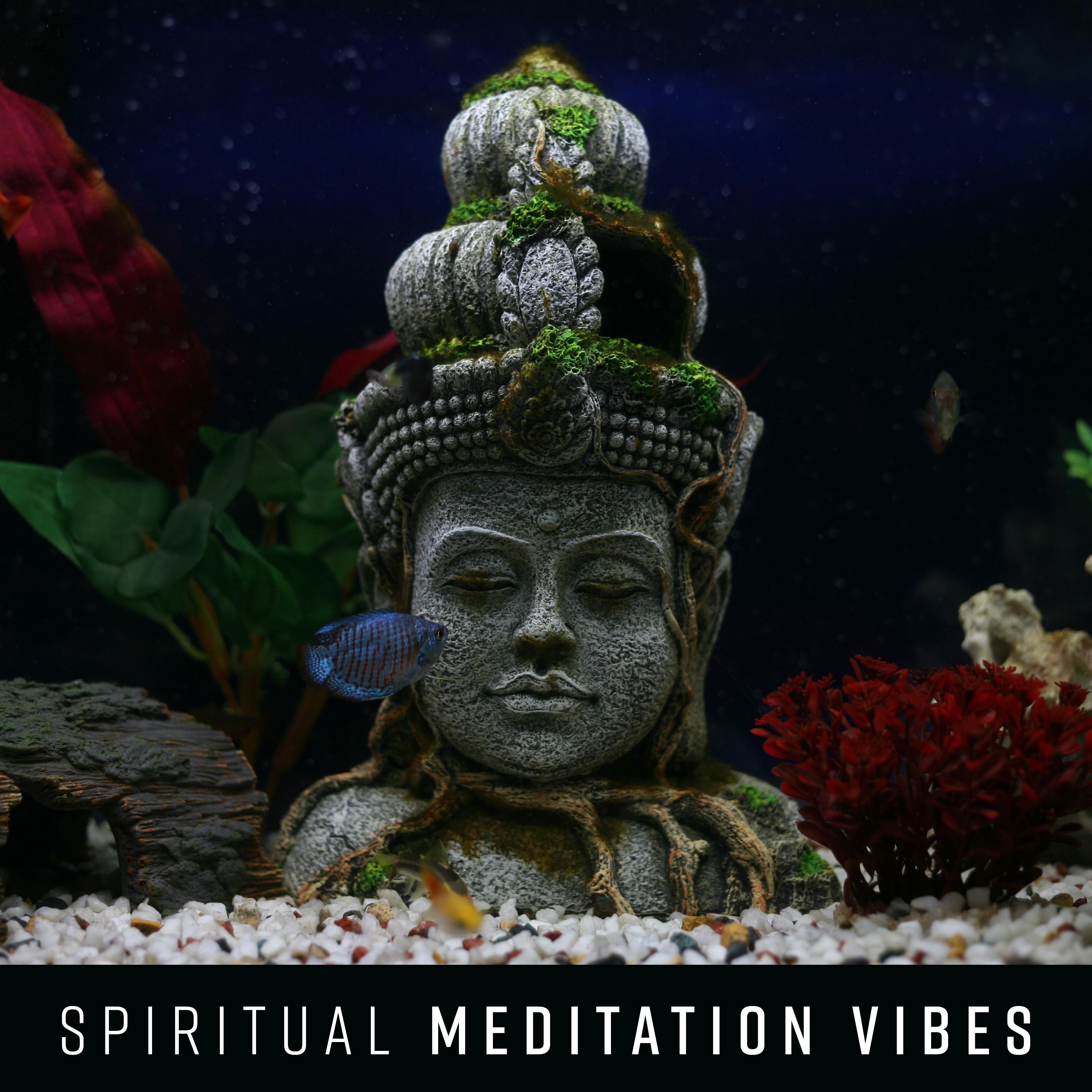 Spiritual Meditation Vibes