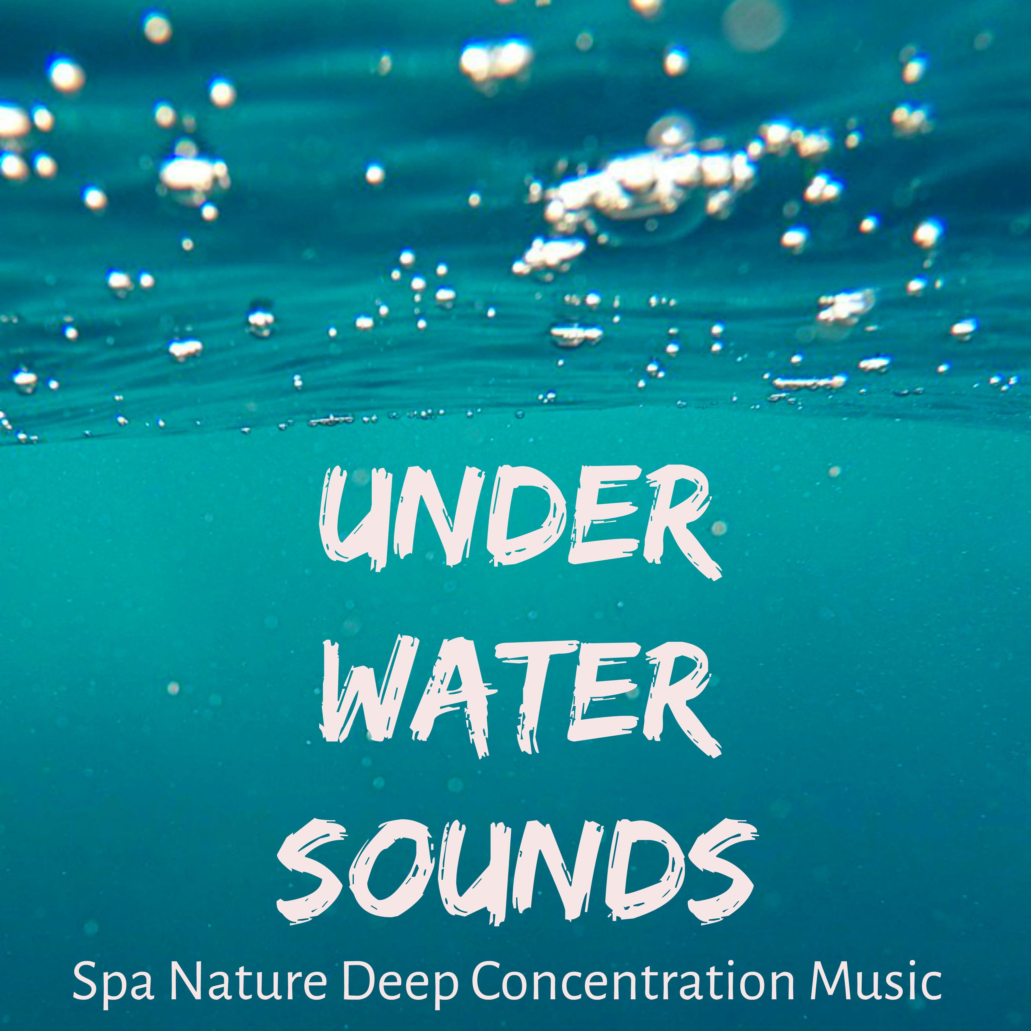 Under Water Sounds - Spa Nature Deep Concentration Music for Best Relaxation Healing Massage Spiritual Retreats with Instrumental New Age Sounds