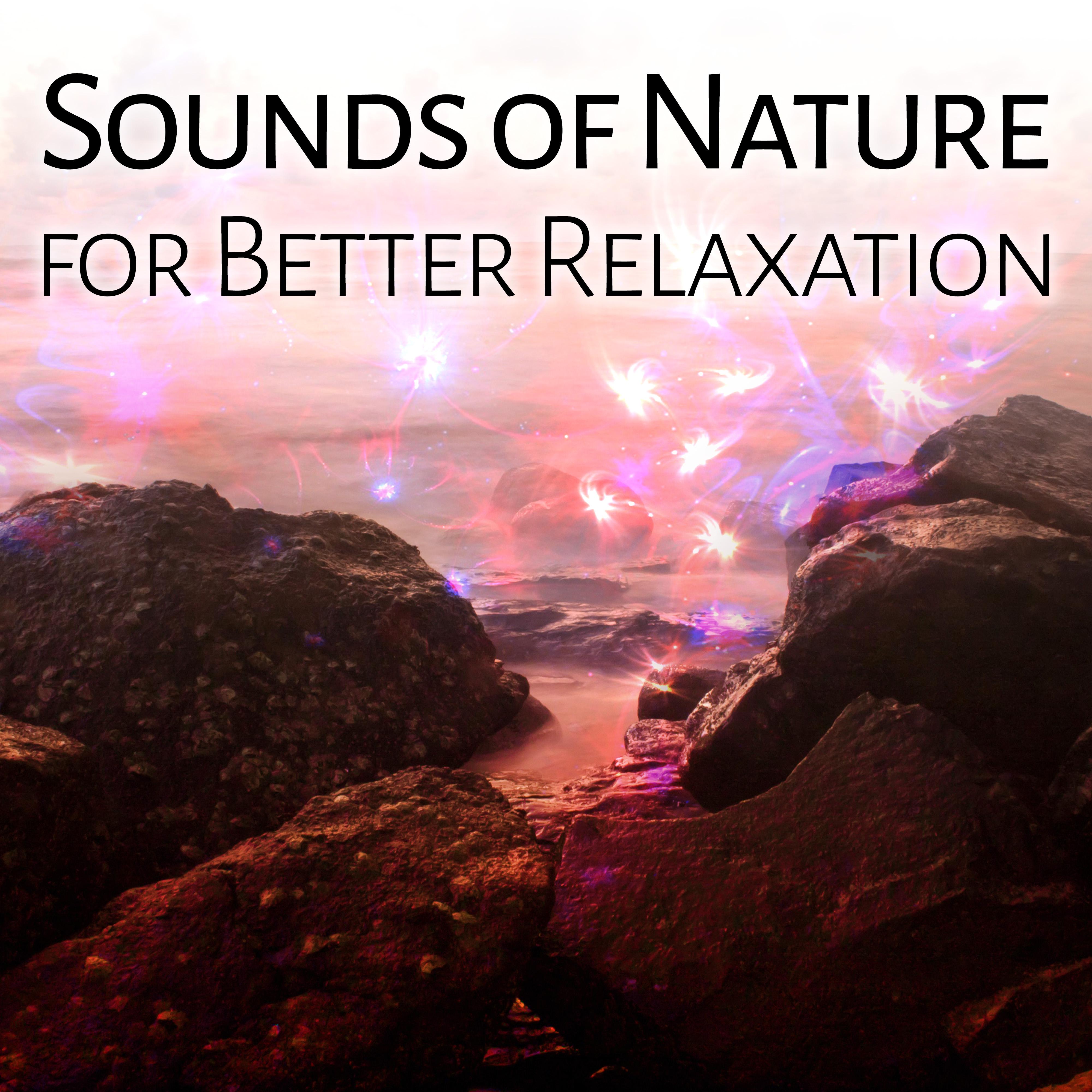 Sounds of Nature for Better Relaxation – Birds Music, Nature Sounds, Deep Sleep, Peaceful Mind, Stress Relief