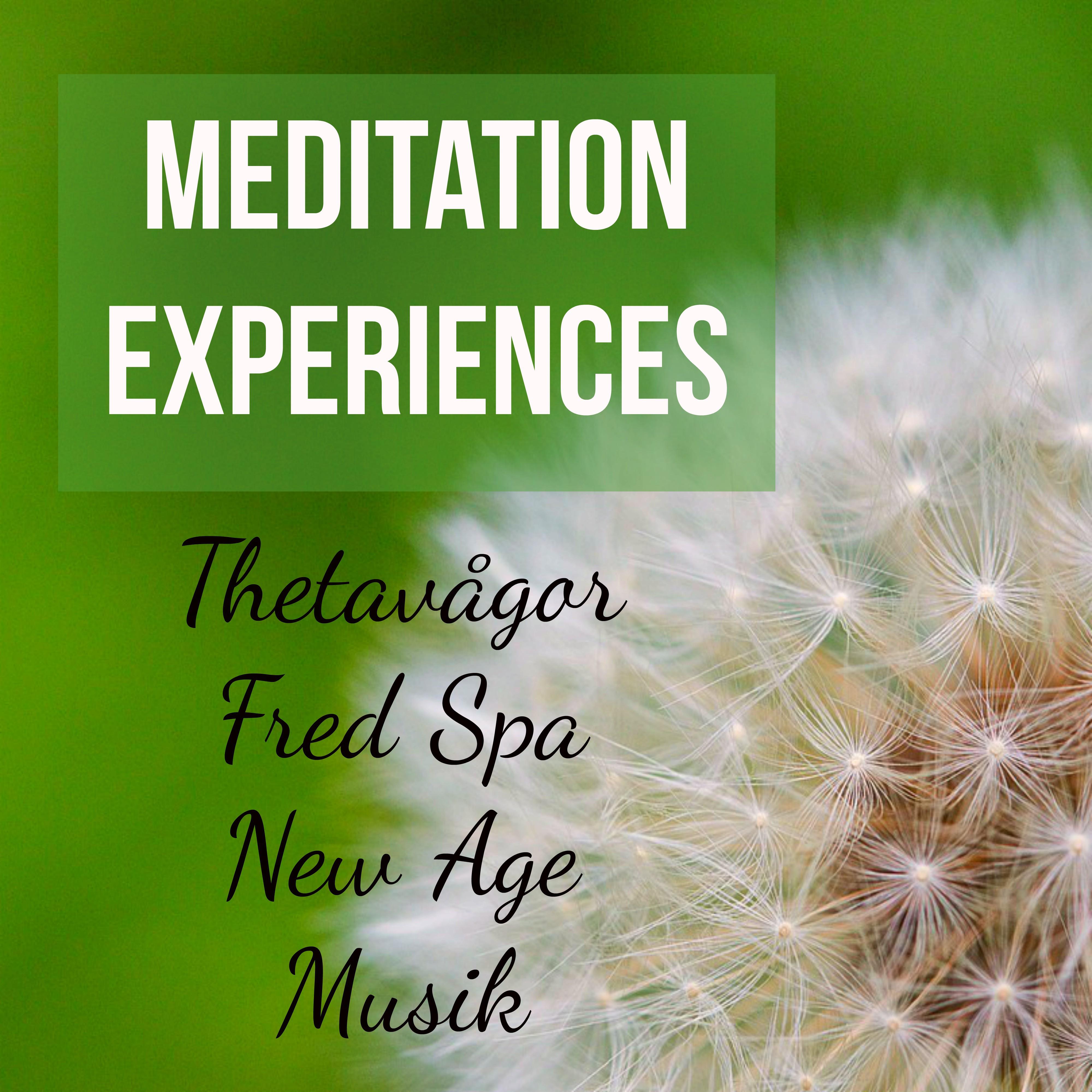 Meditation Experiences - Thetavågor Fred Spa New Age Musik för Reiki Helande Sömncykel och Chakra Balansering