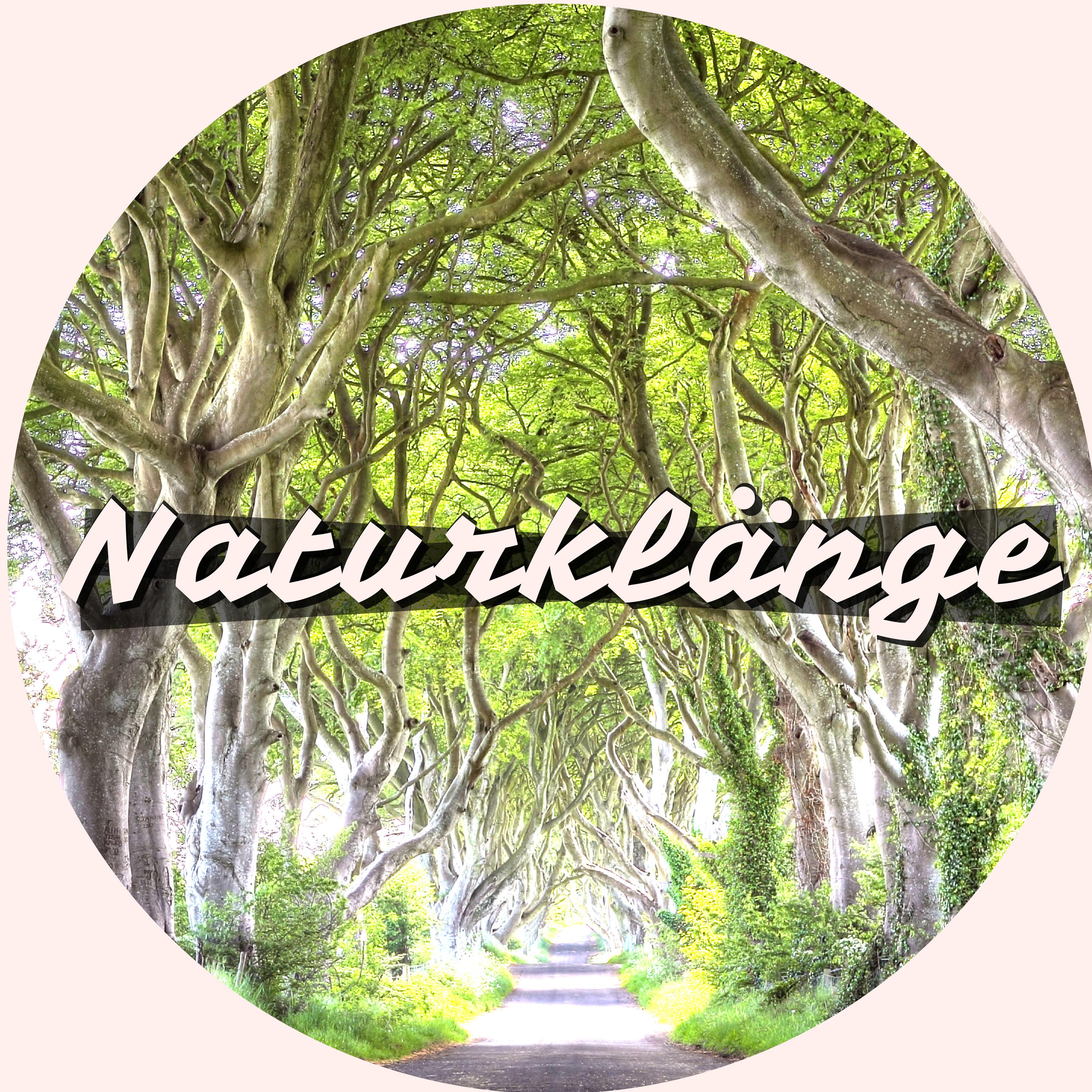 Naturklänge