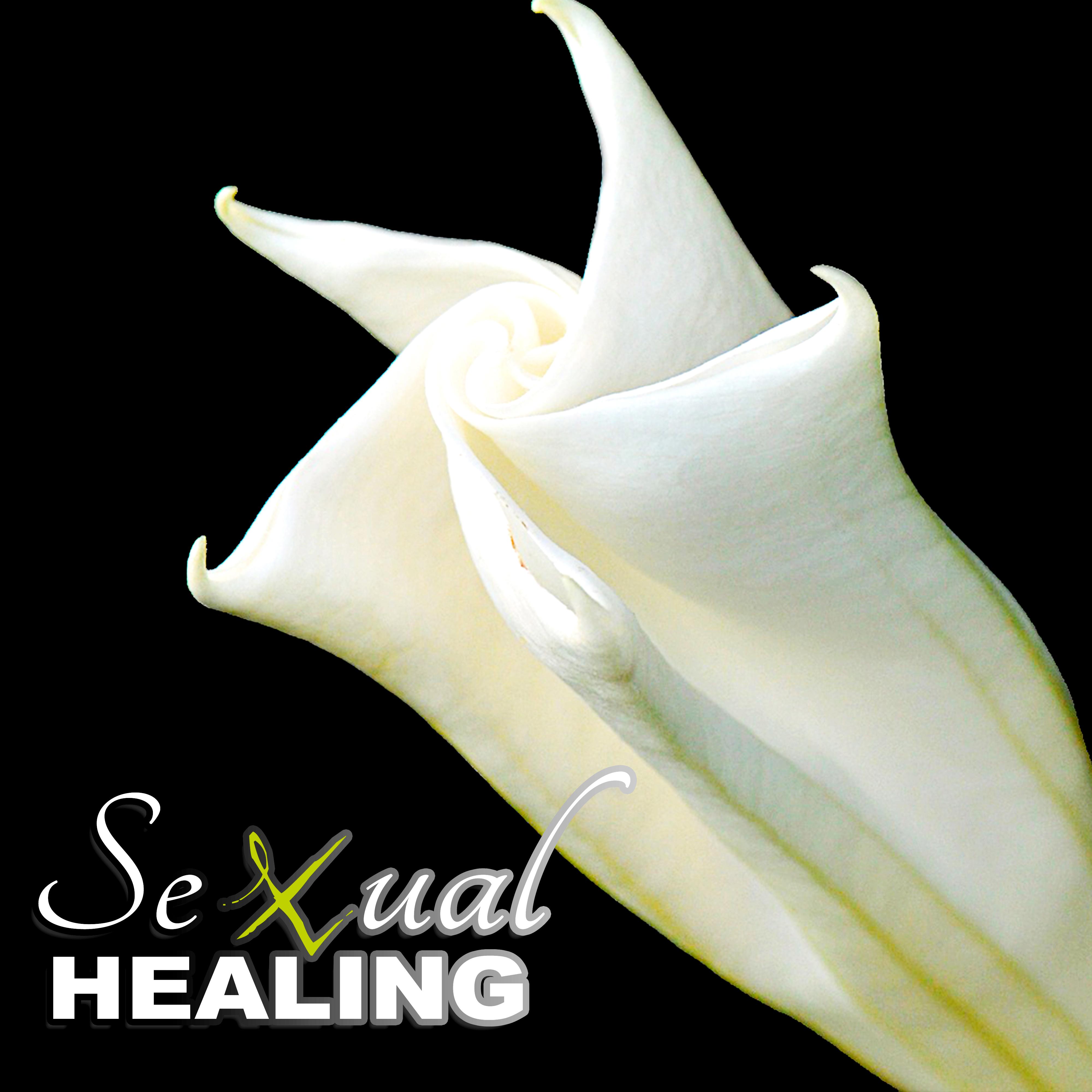 ****** Healing - Hot and Smooth ****** Healing Love Making, *** Music for Intimate Erotic Moments, Kuma Sutra, Instrumental Love Songs, Erotic Massage, Erotic Lounge
