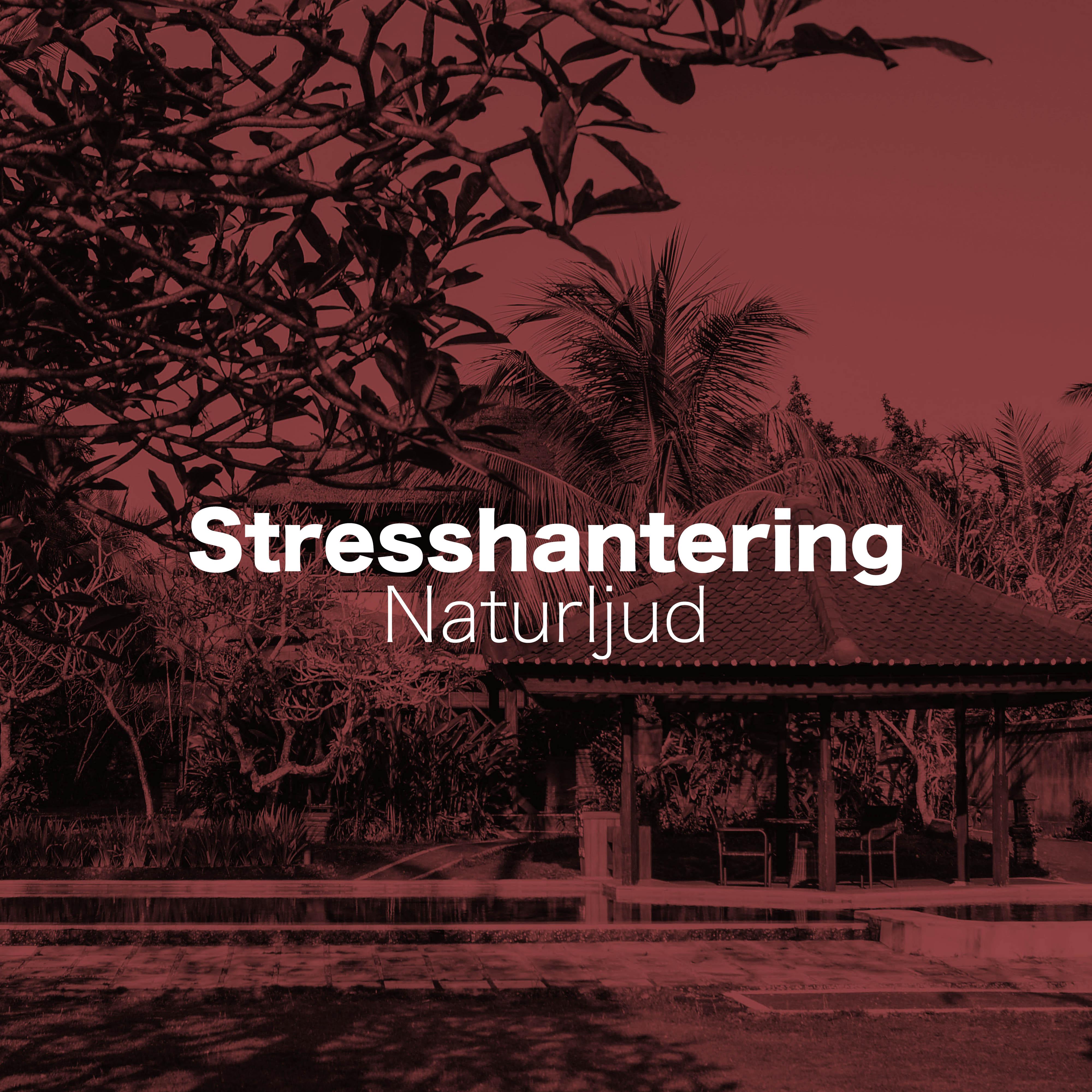 Stresshantering - Naturljud