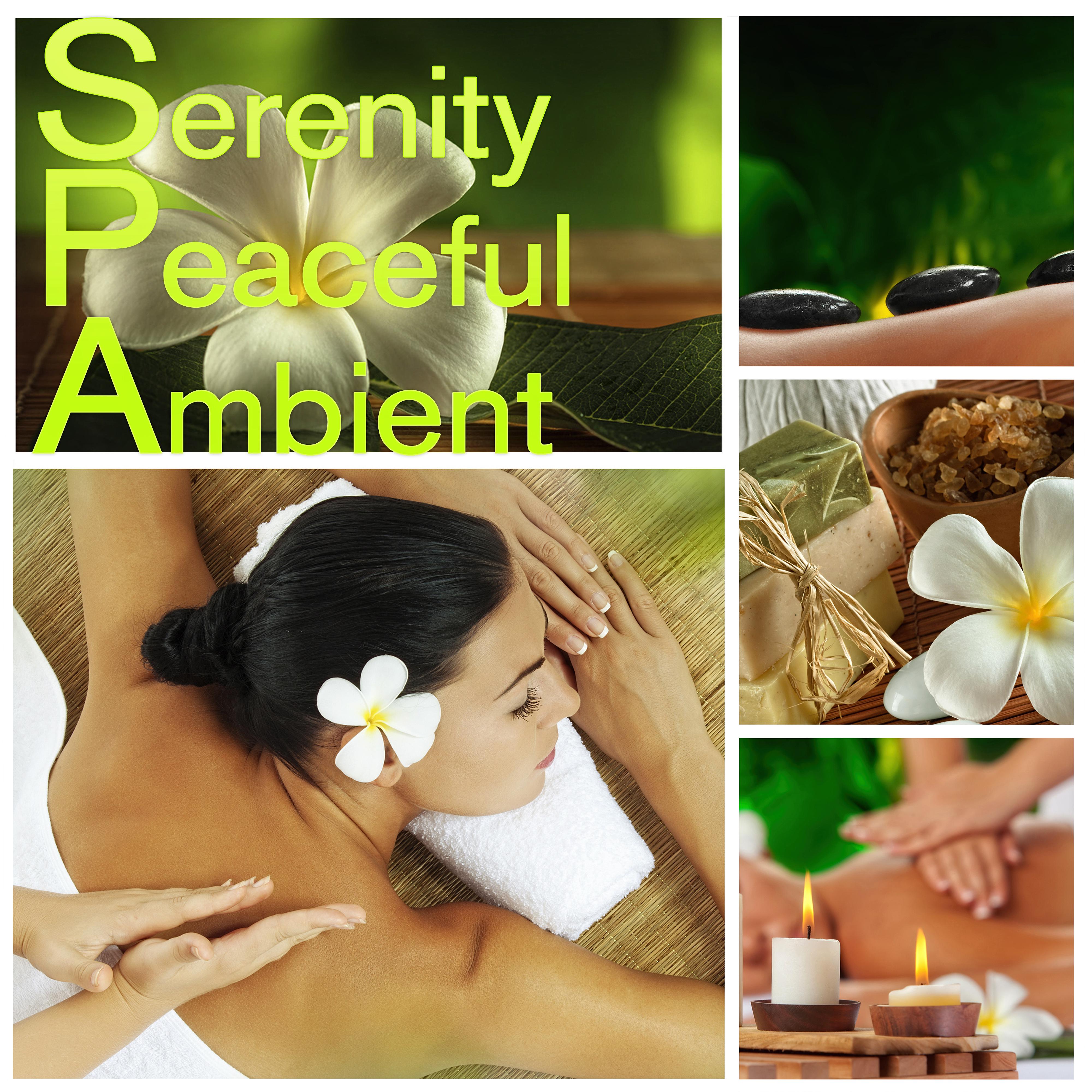 SPA Serenity Peaceful Ambient – Spa Music, Massage, Relaxation, Well Being, Liquid Songs, Sounds of Nature, Good Mood, Background Music