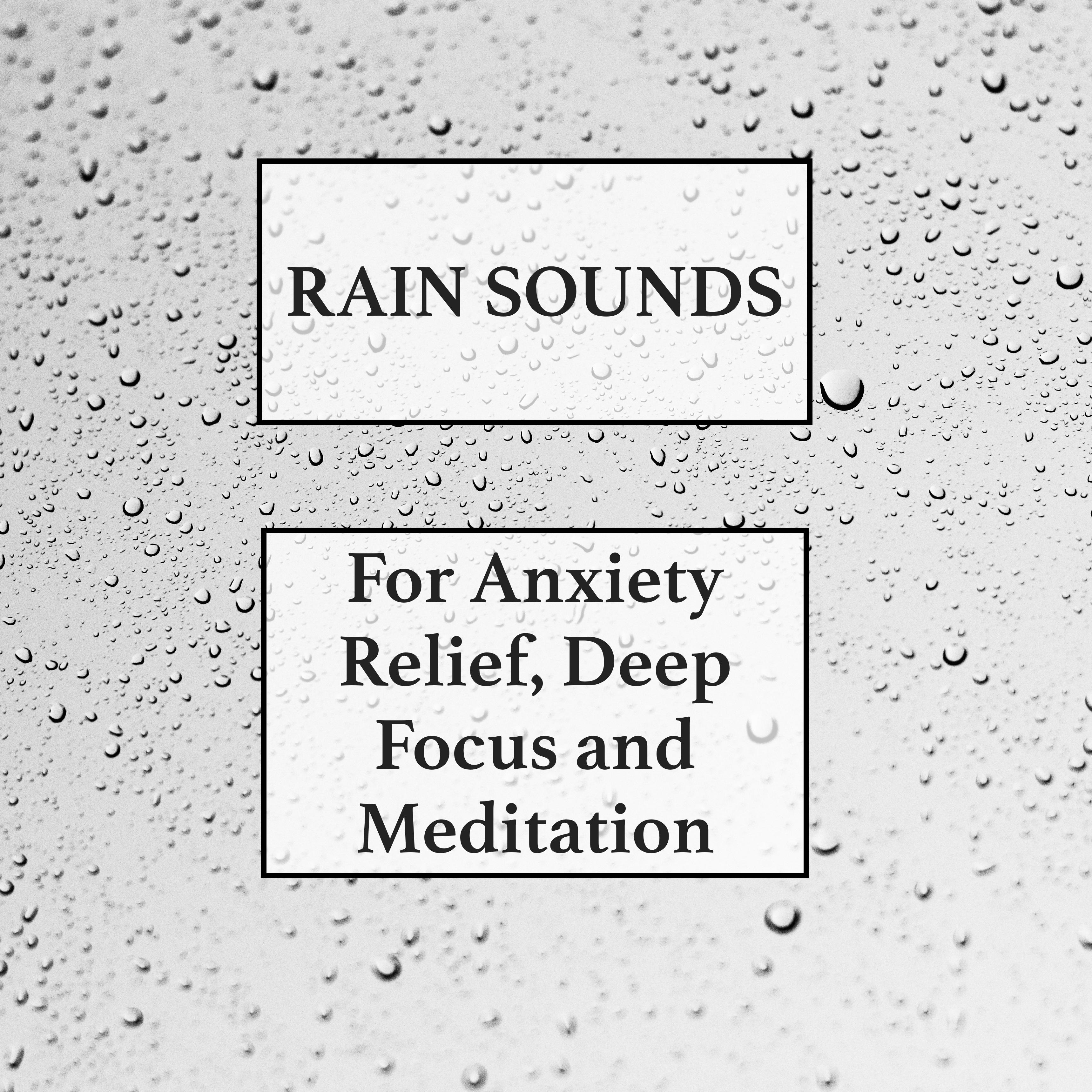 Gentle Rain Sounds Collection - Soothing Water and Nature Sounds for the Ultimate in Rest & Relaxation, Anxiety Relief, Stress-Free Living, Deep Focus & Mindfulness, and Help with Meditation and Exam Study