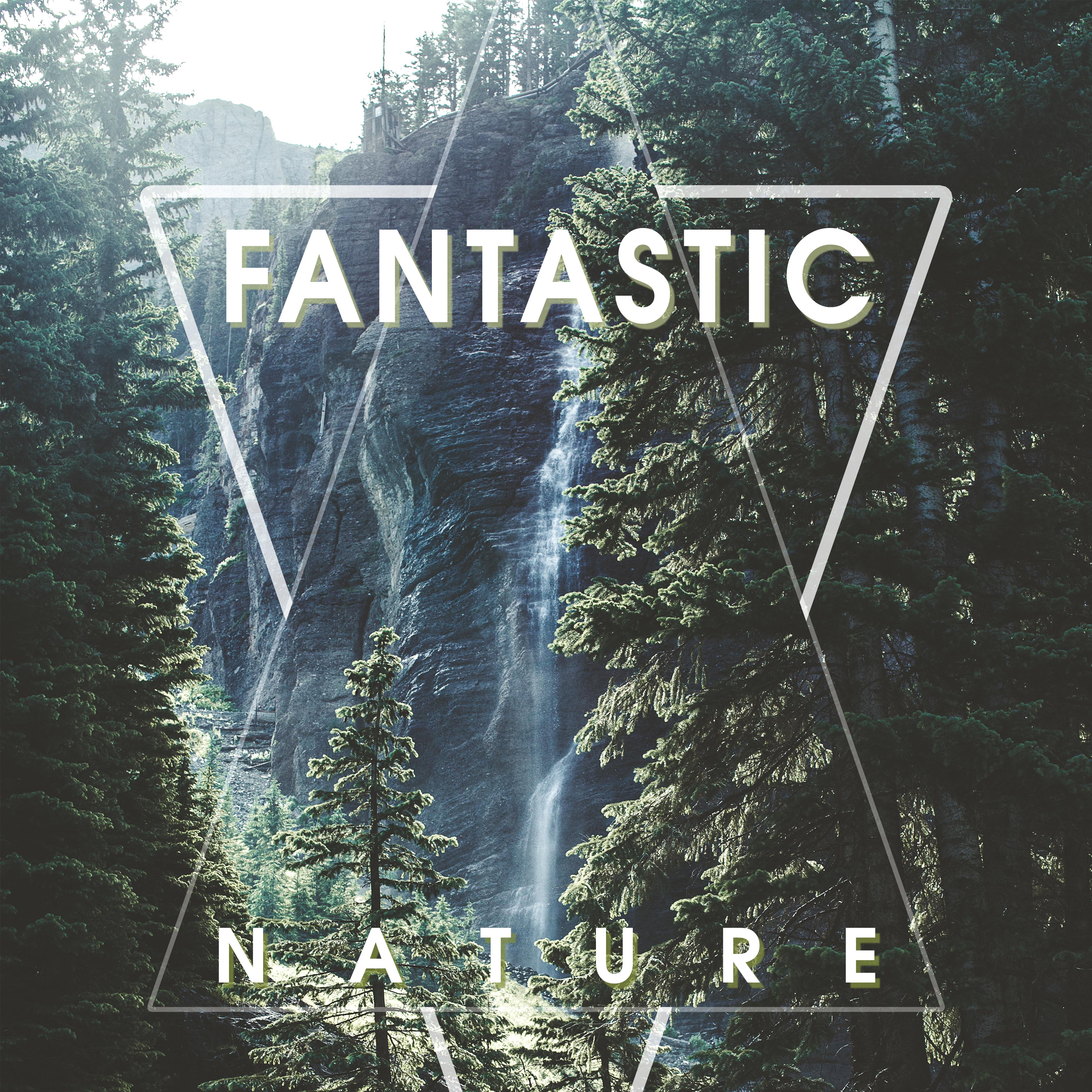 Fantastic Nature – Beautiful Natural Sounds, Soothing Sounds of Nature, Relaxing Ambient Music