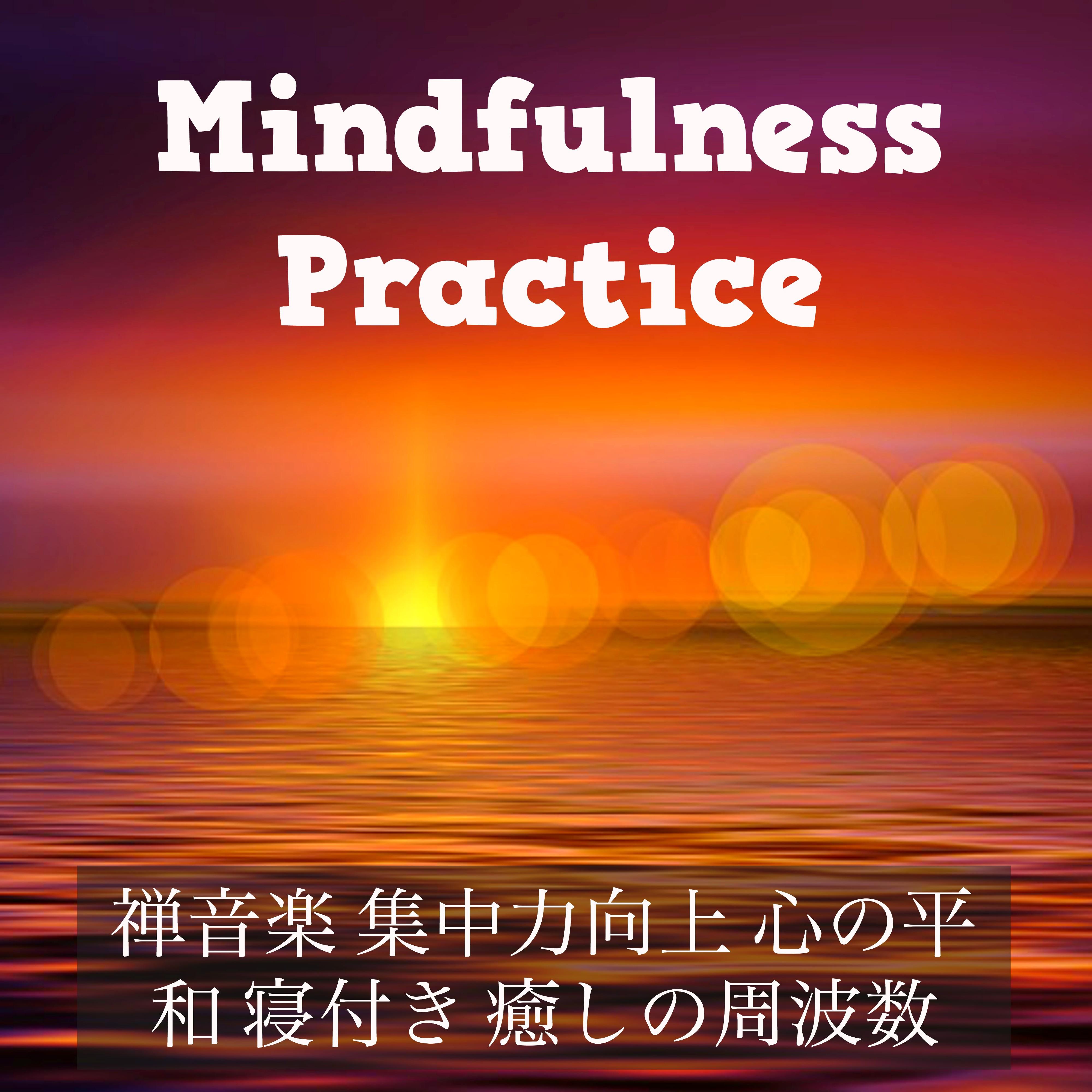 Mindfulness Practice - 禅音楽 集中力向上 心の平和 寝付き 癒しの周波数
