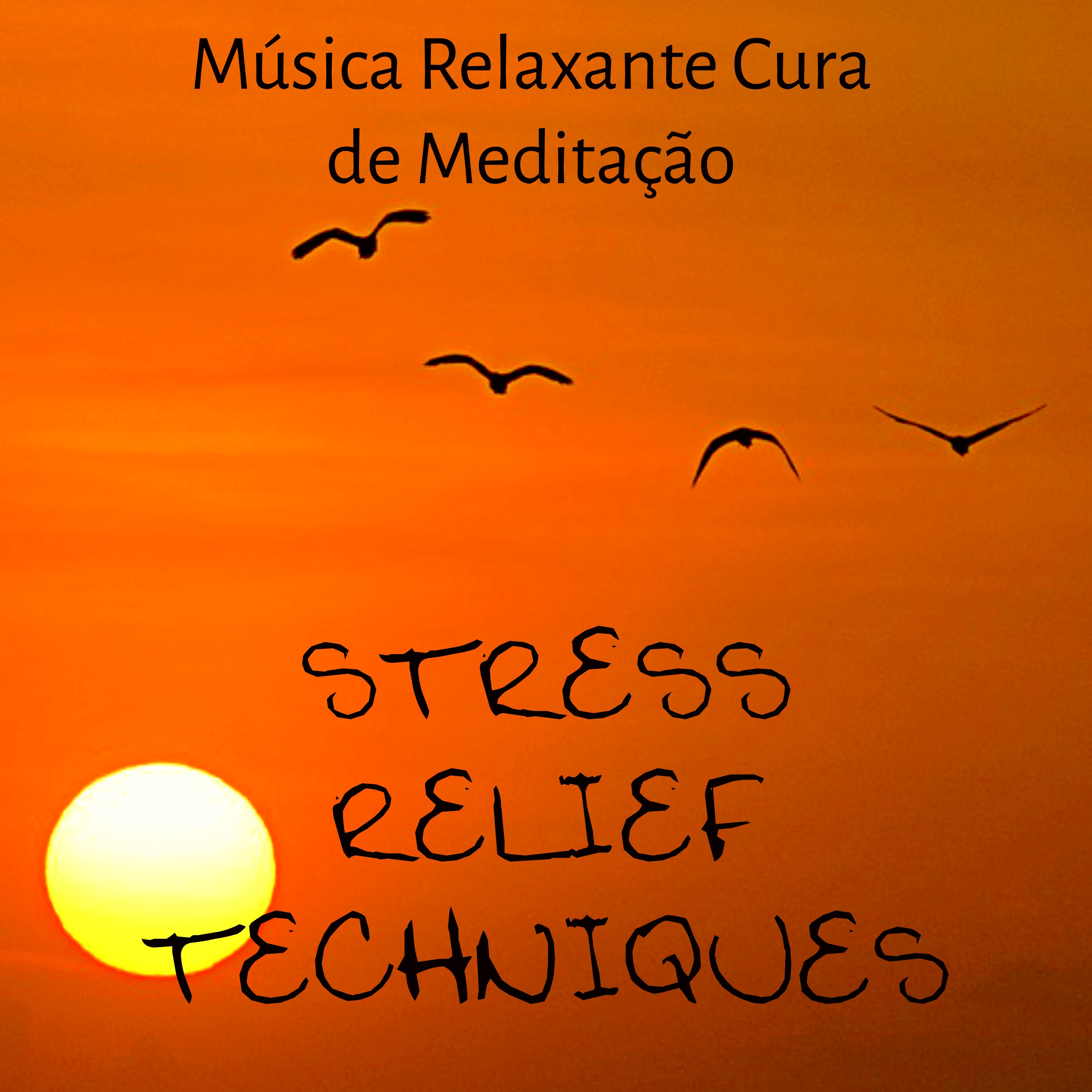 Stress Relief Techniques - Música Relaxante Cura de Meditação para Saude Mental Treinar A Concentração Técnicas de Hipnose com Sons da Natureza Instrumentais New Age