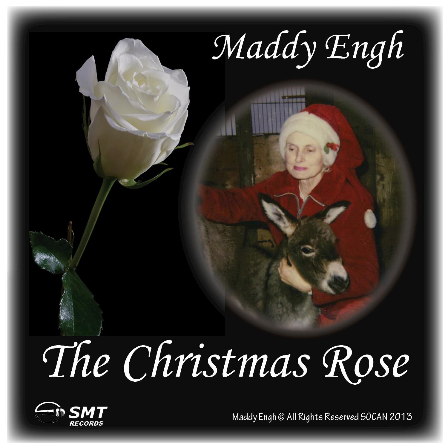 The Christmas Rose