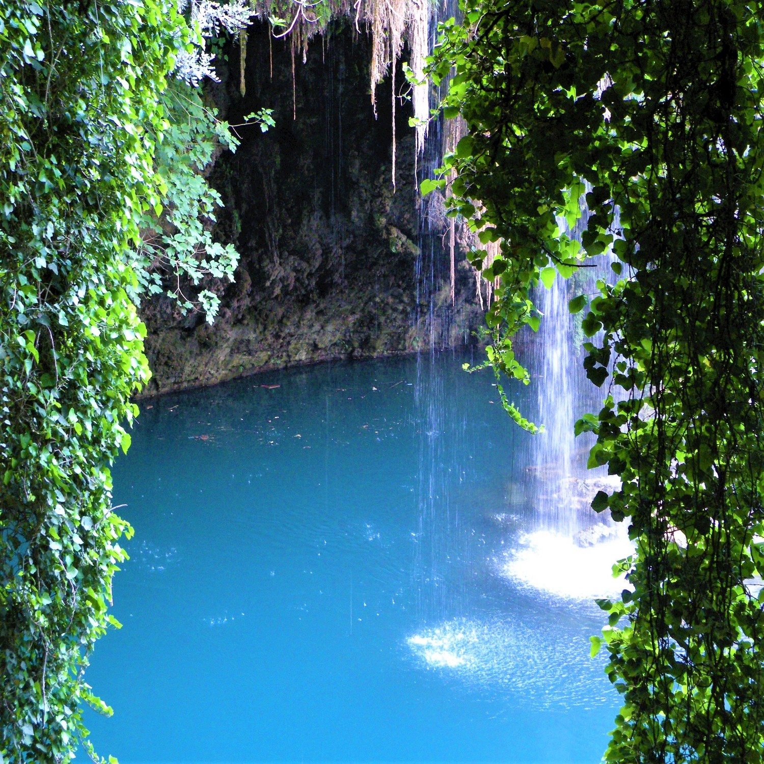 Jungle Cave: Zen Fallingwater & Tropicals Animals - Mexico