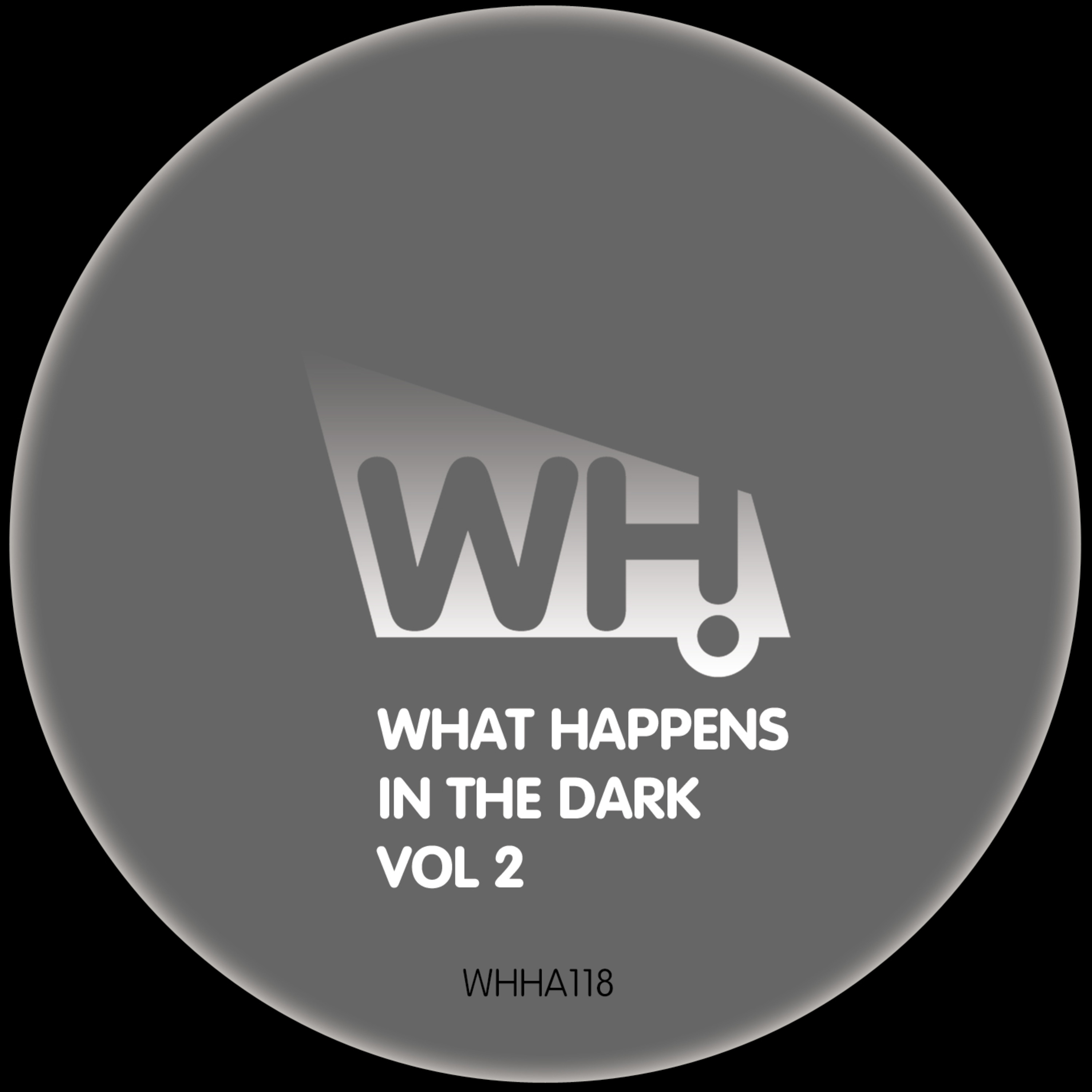 What Happens in the Dark Vol 2