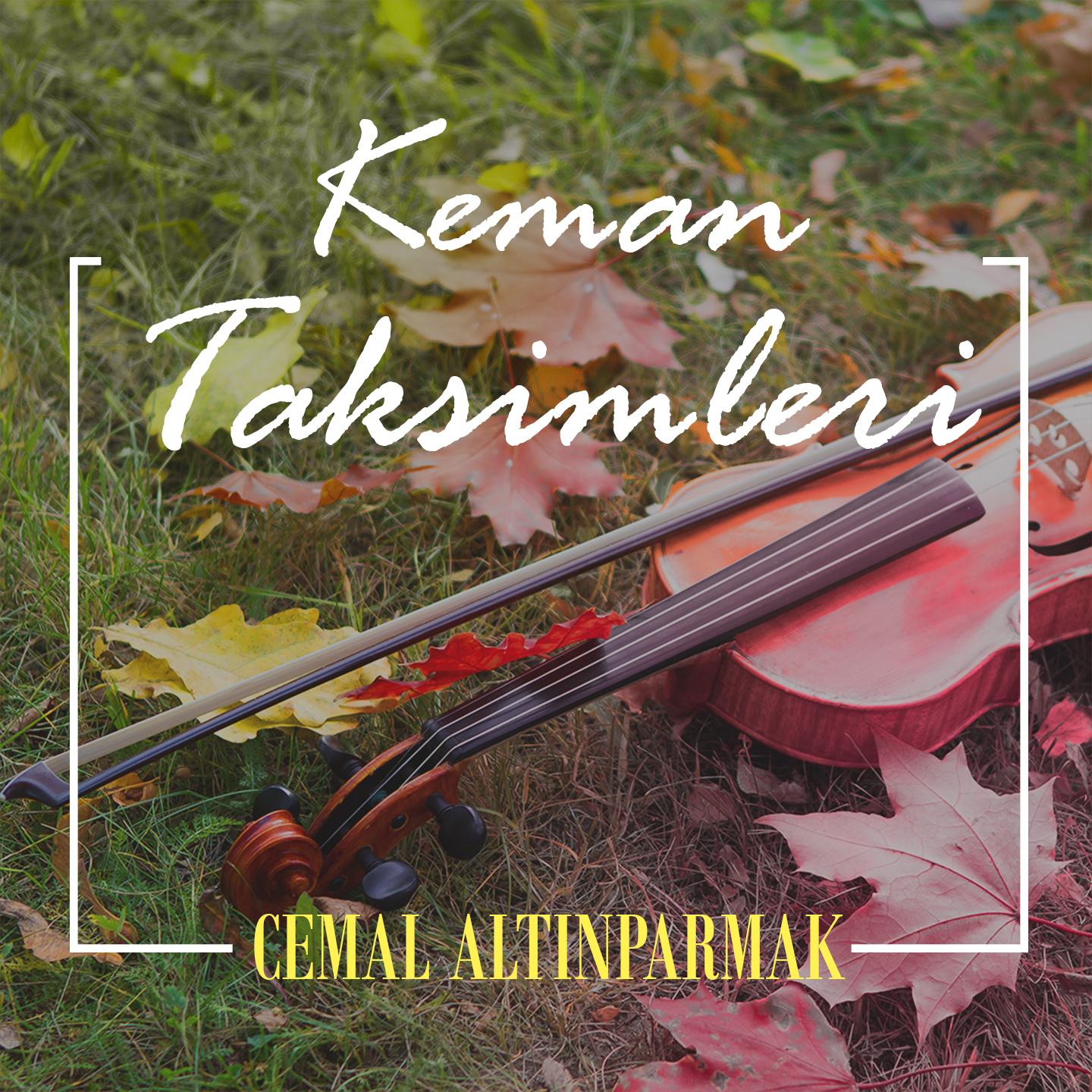 Keman Taksimleri