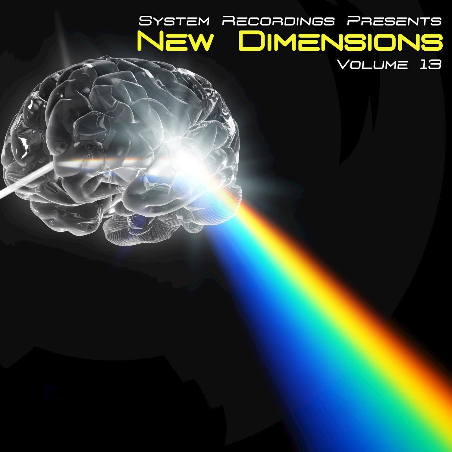 New Dimensions, Vol. 13