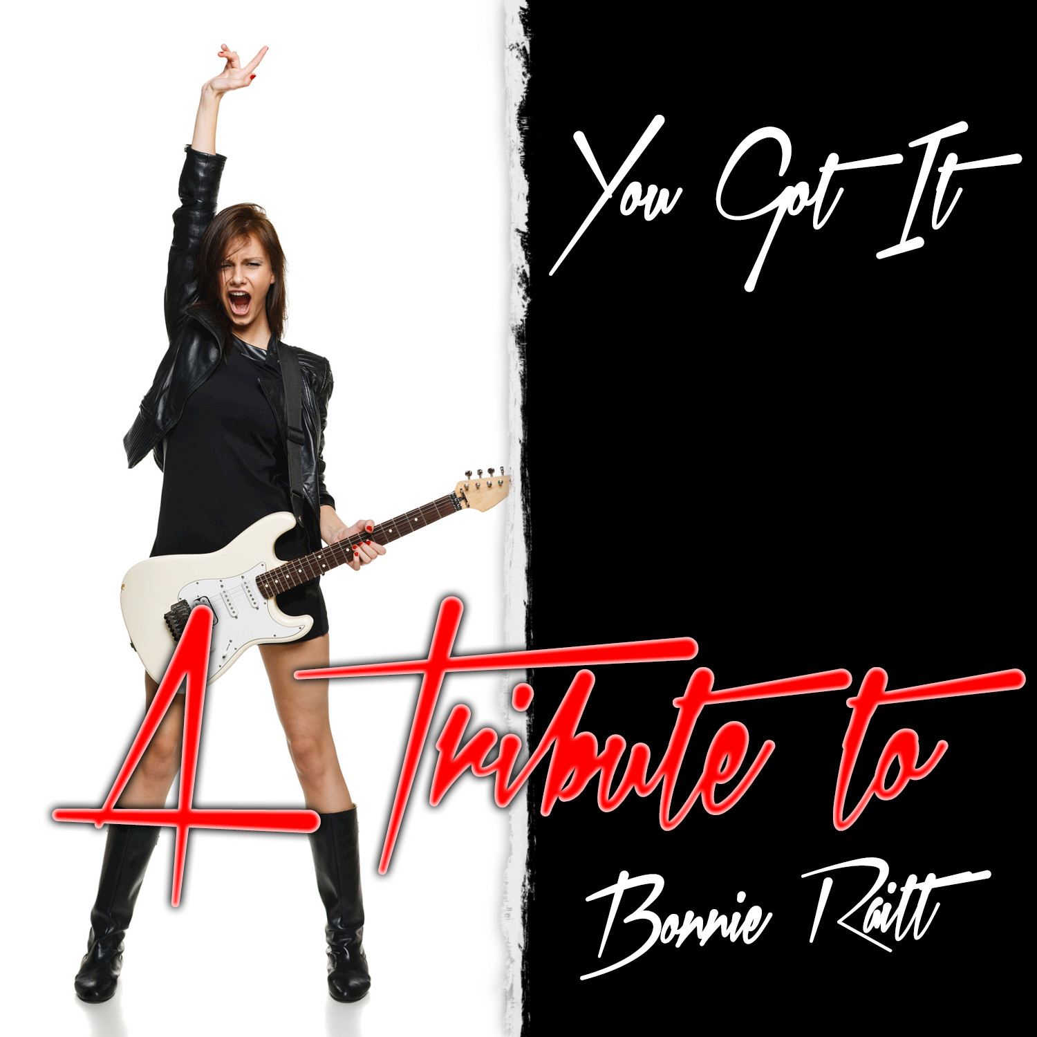 You Got It: A Tribute to Bonnie Raitt