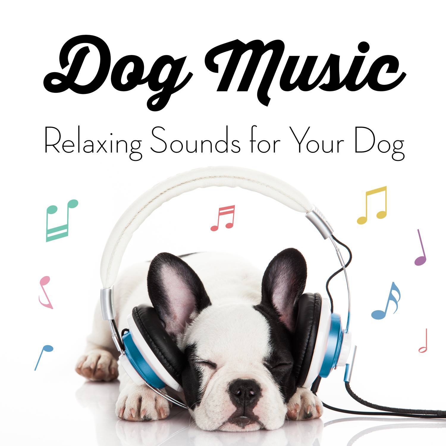 Calm Music for Puppies