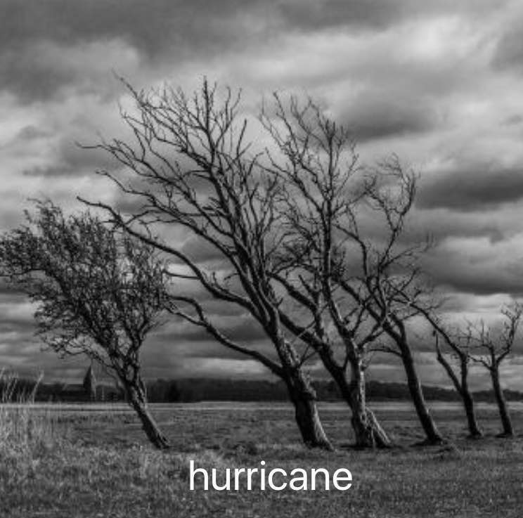 hurricane