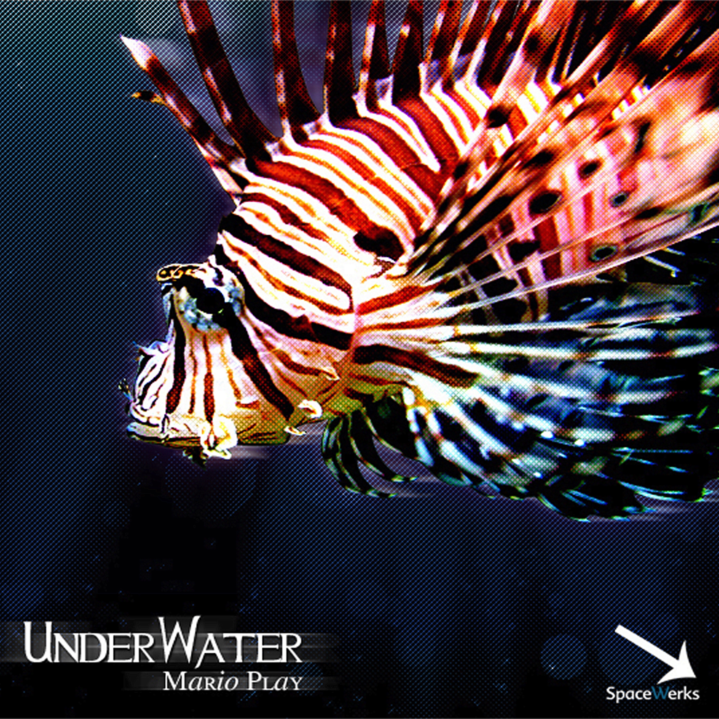 Lionfish