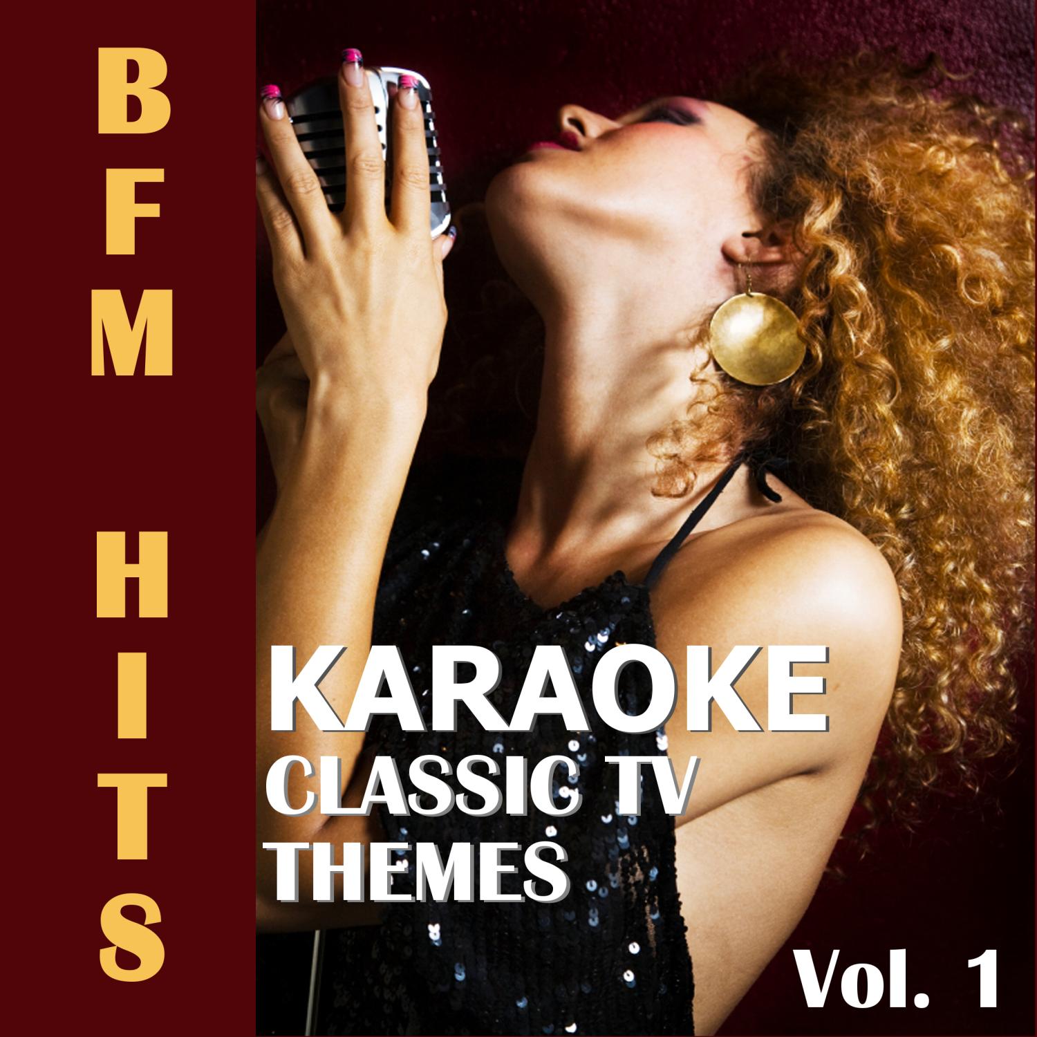 Karaoke: Classic Tv Themes, Vol. 1